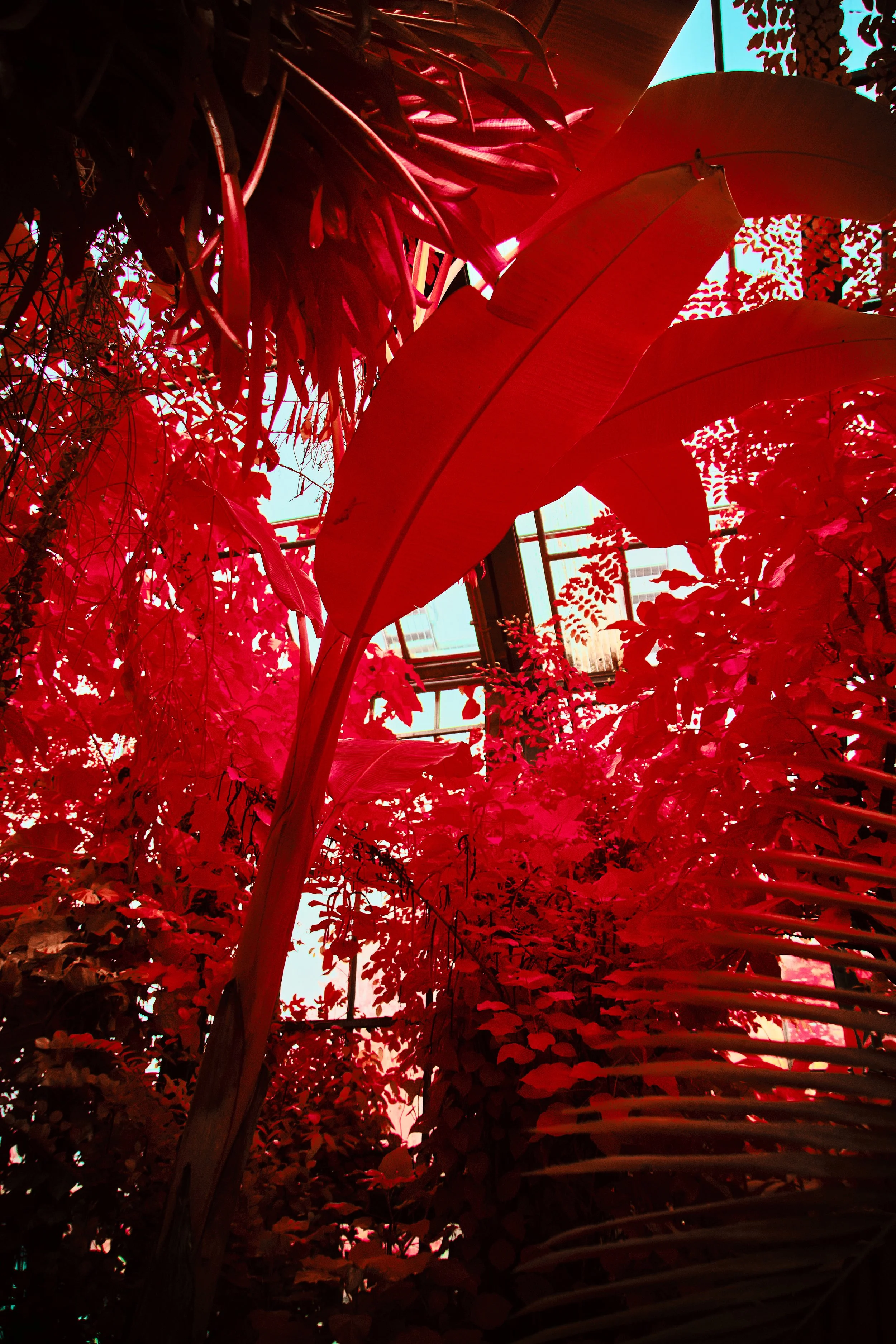 17.08.2026 Botanischer Garten 157.jpg