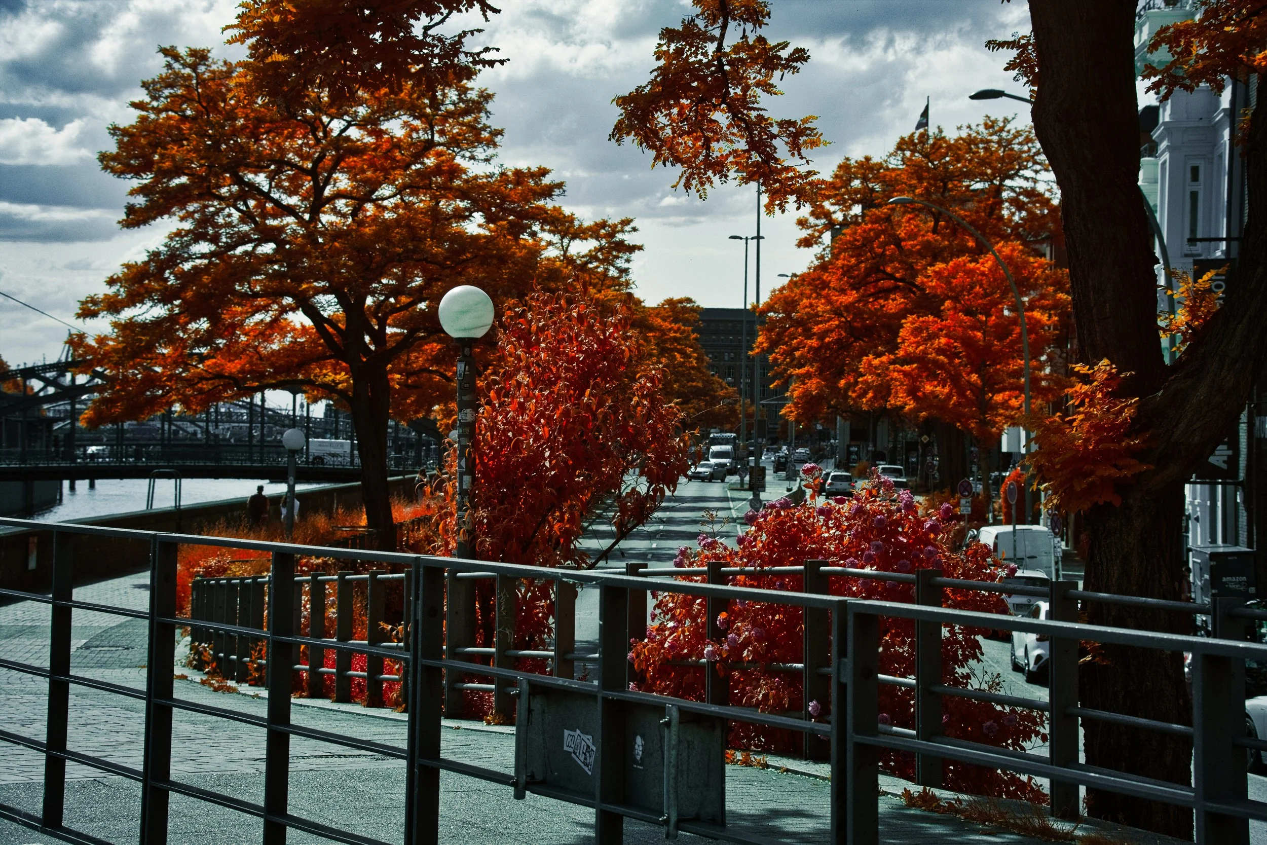 DSCF5508.jpg
