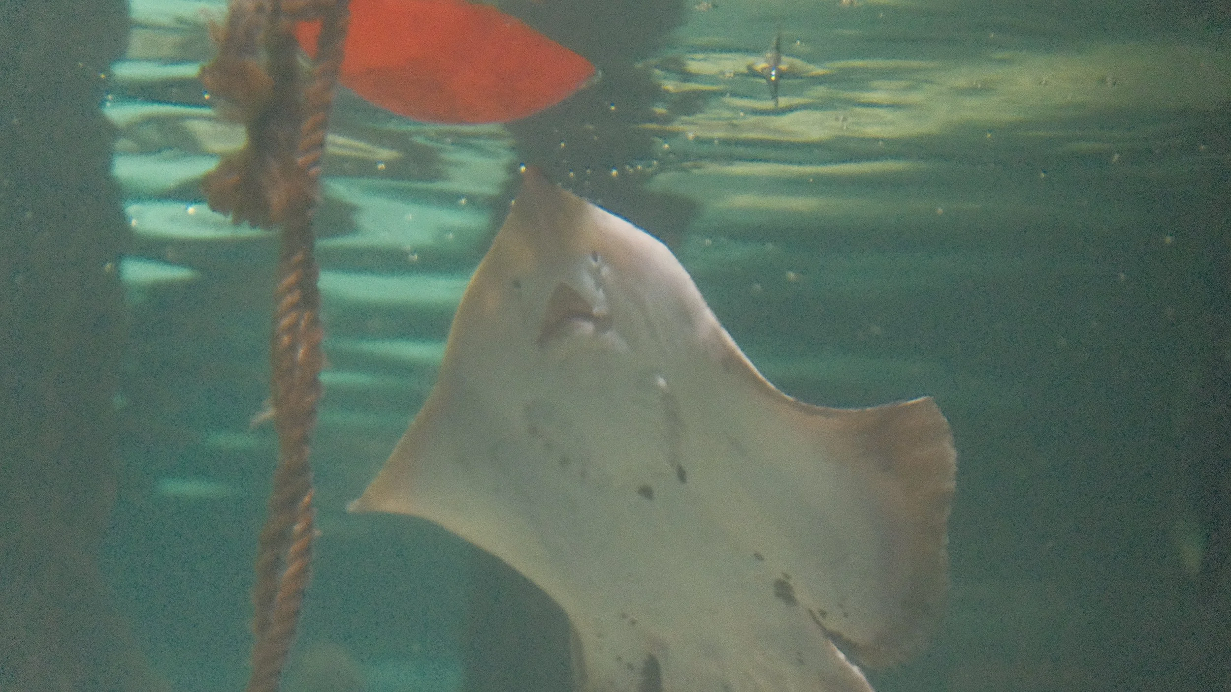 DSCF5985.JPG