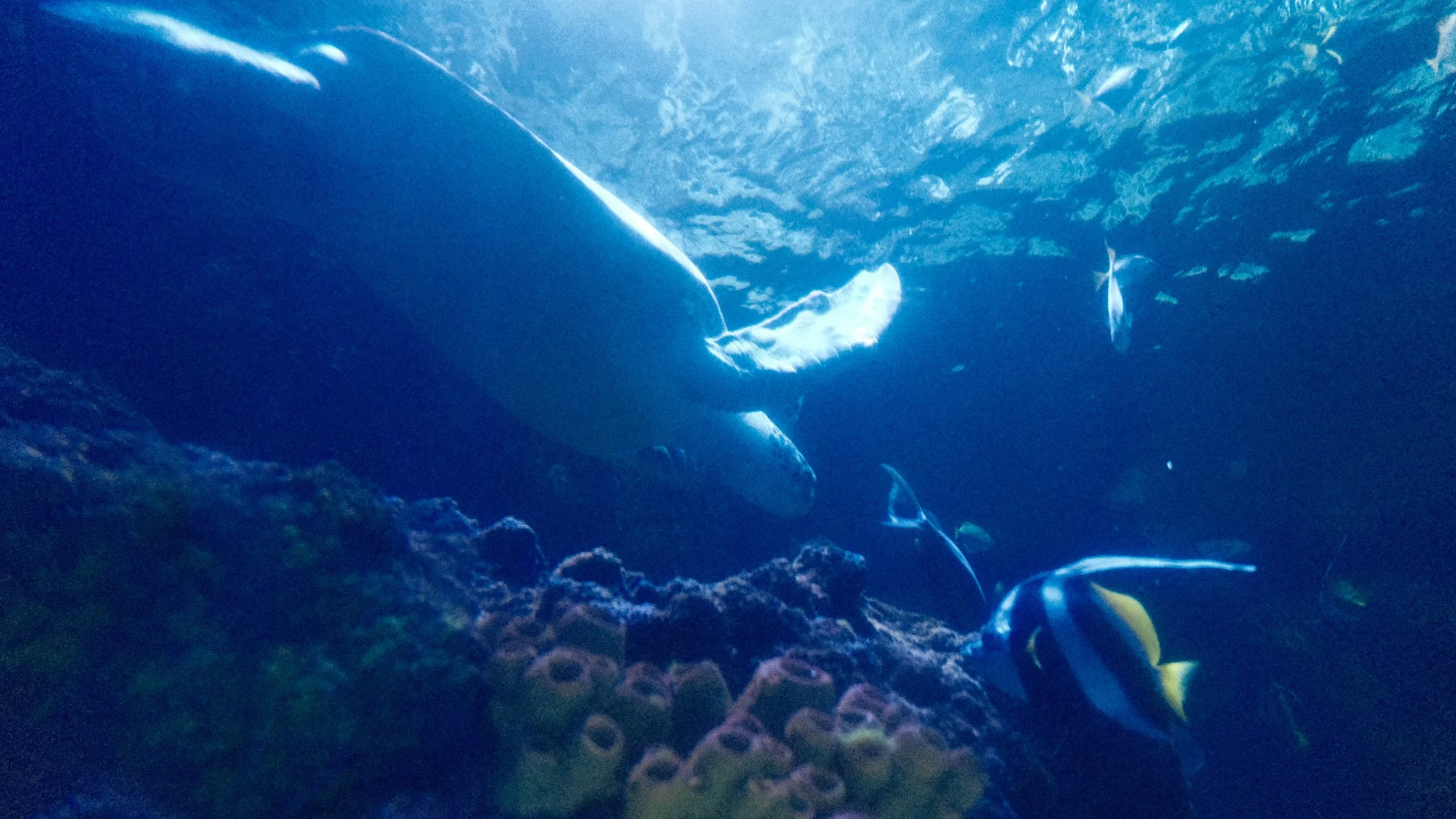 DSCF6011.JPG