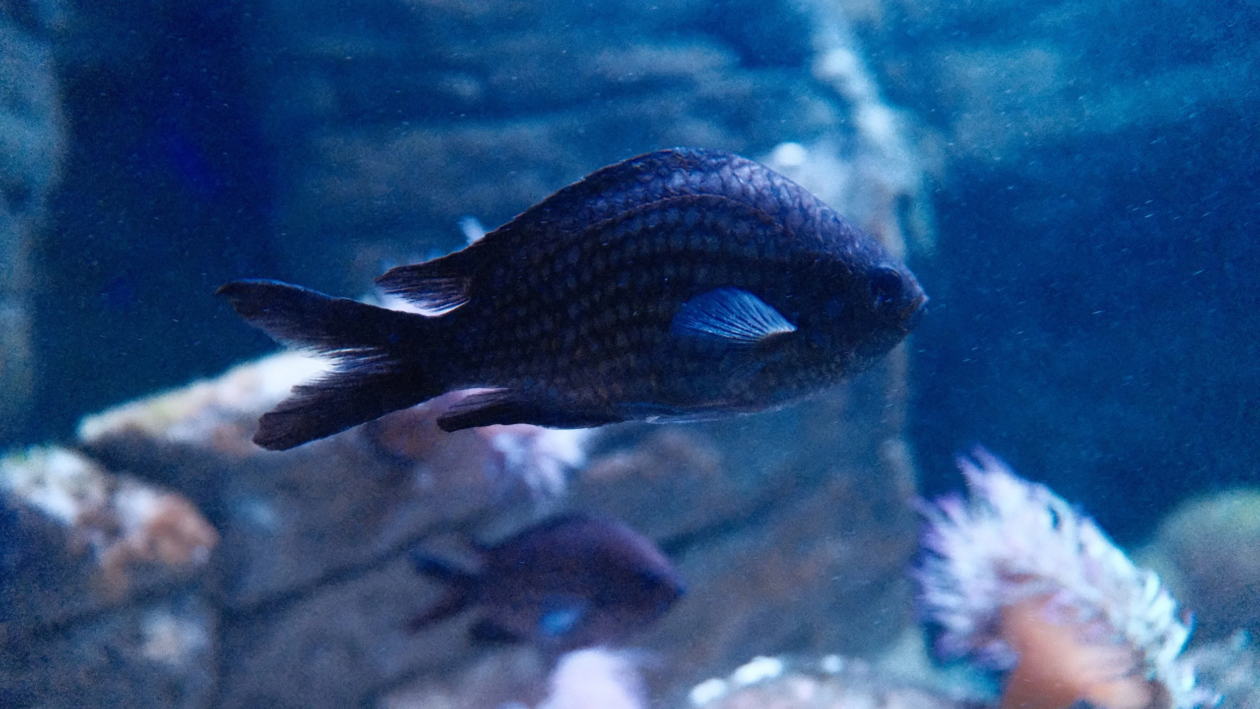 DSCF5961.JPG