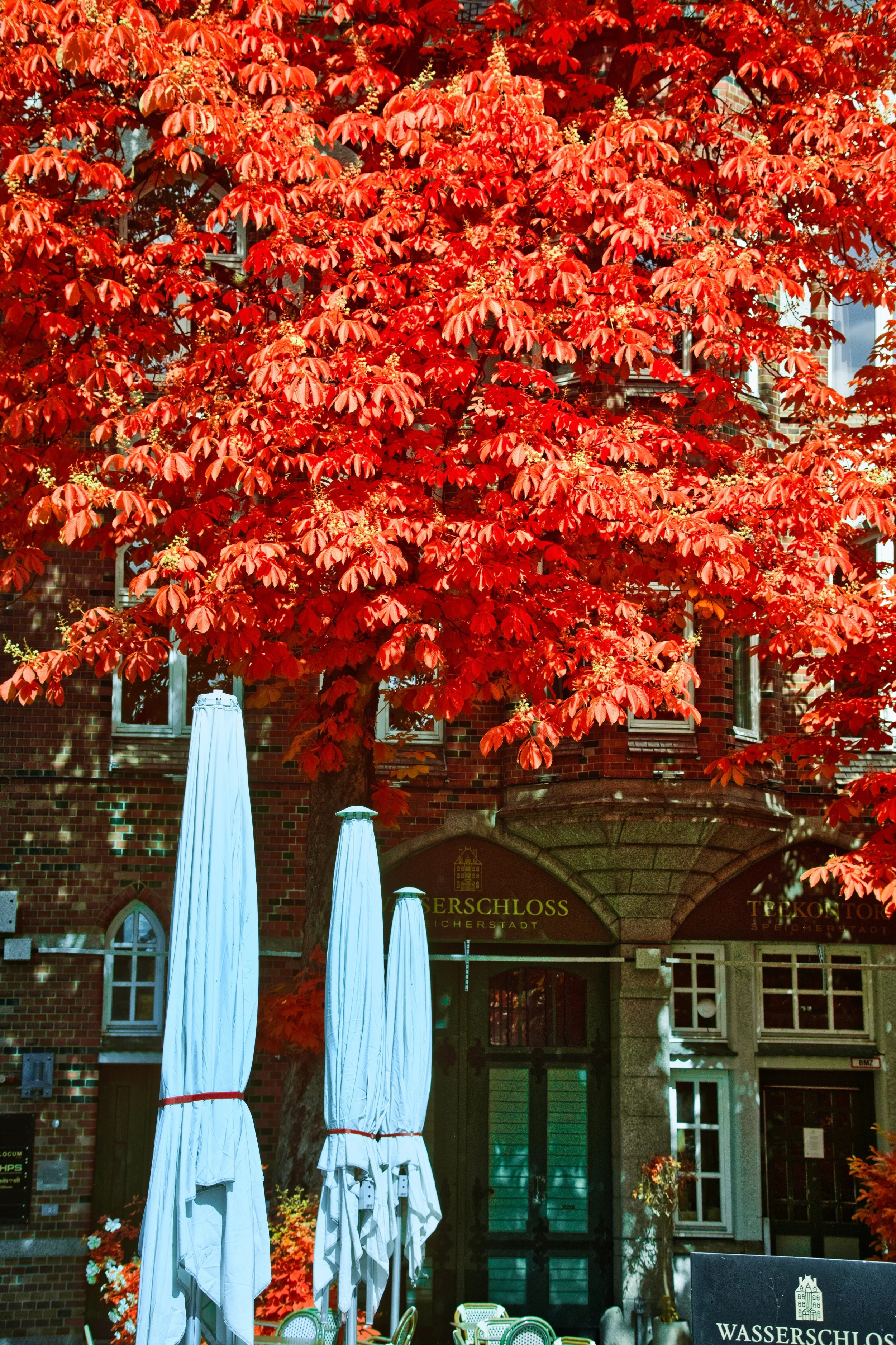 DSCF5472.jpg