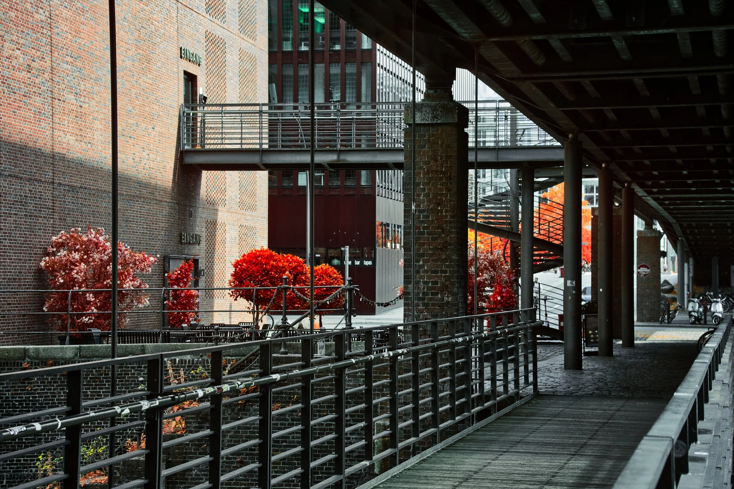 DSCF5505.jpg
