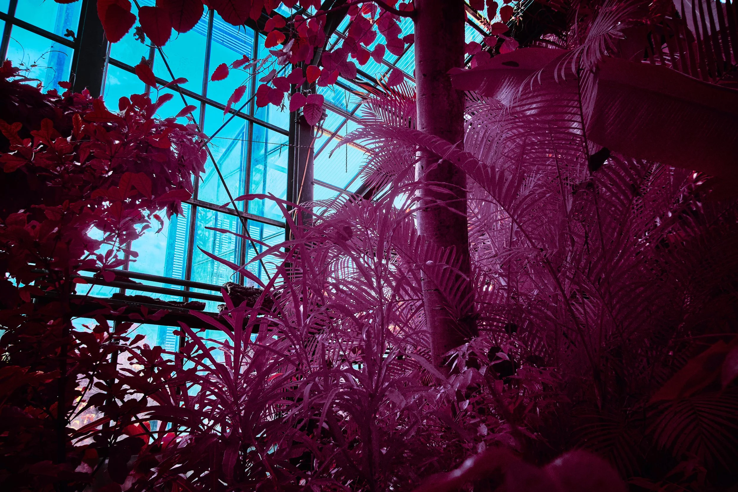 17.08.2026 Botanischer Garten 134.jpg