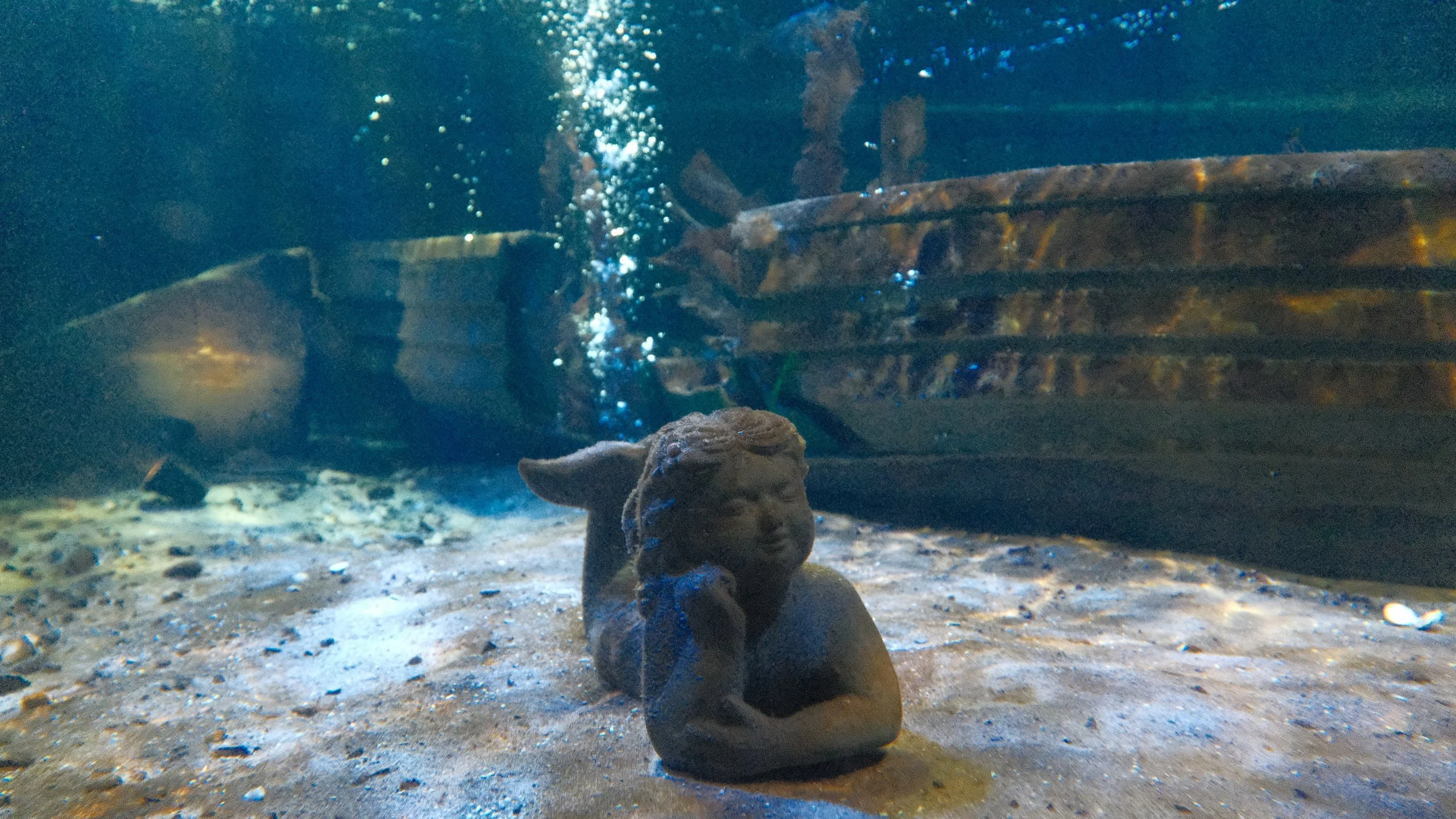 DSCF5880.JPG
