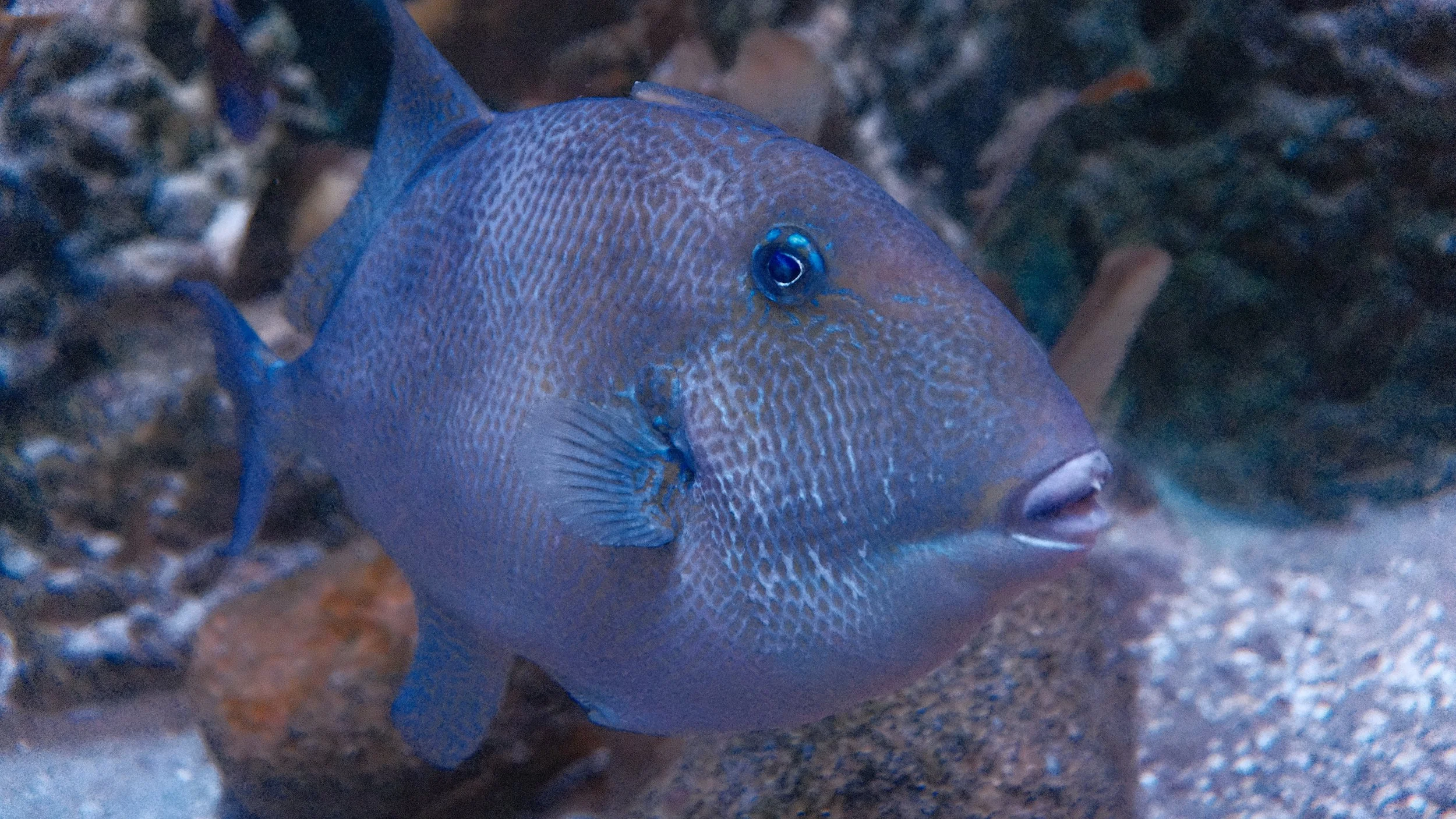 DSCF5894.JPG
