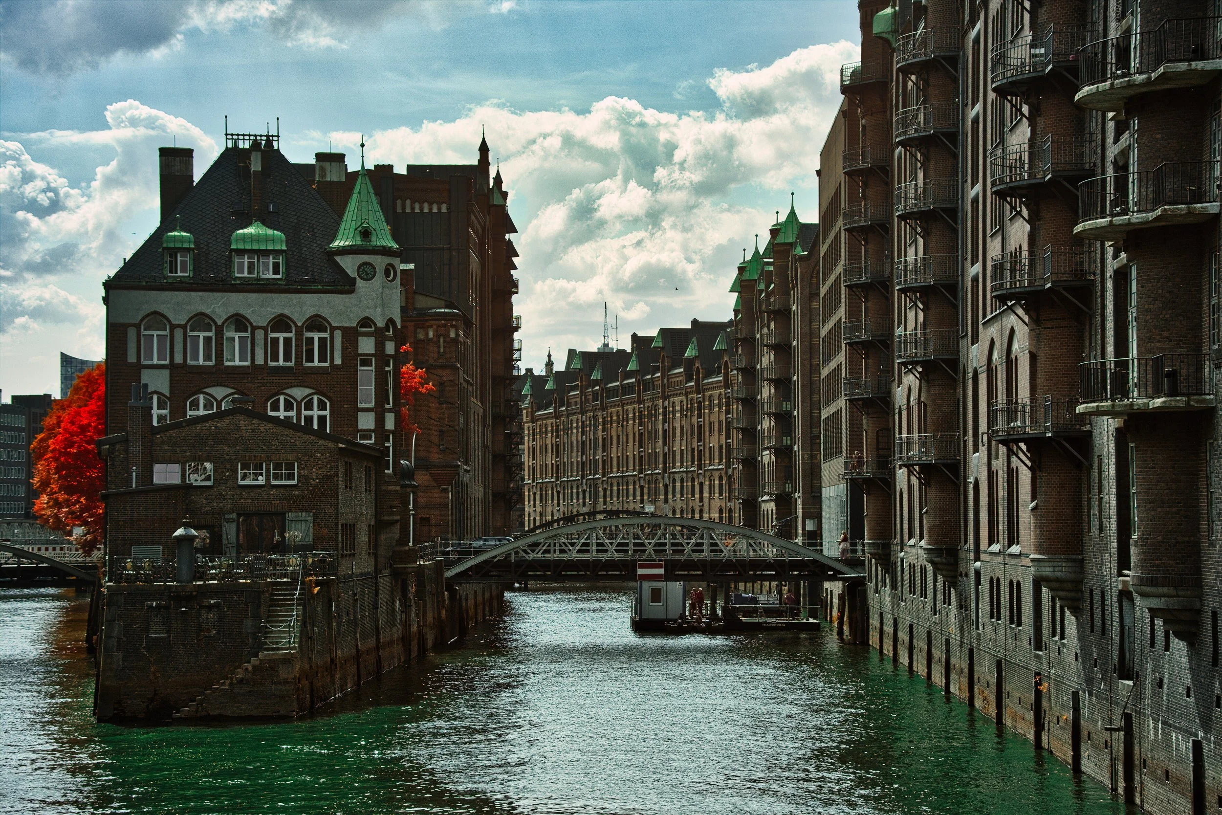 DSCF5456.jpg