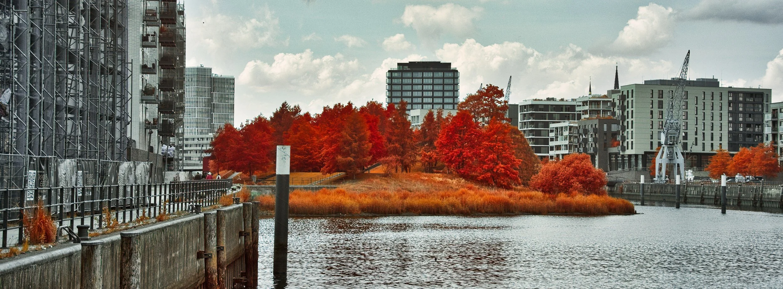 DSCF5436.jpg