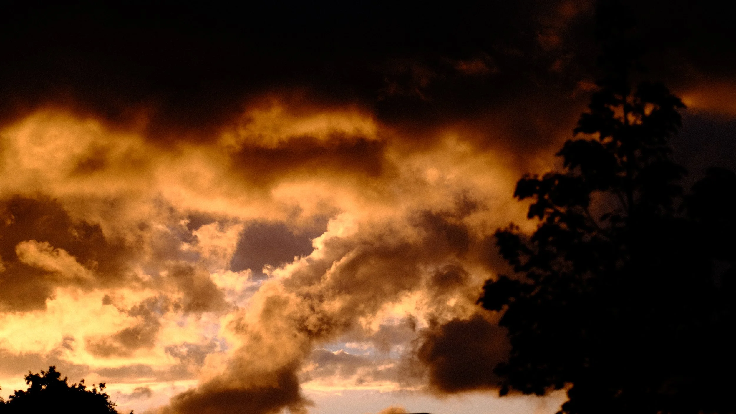 DSCF6990.JPG