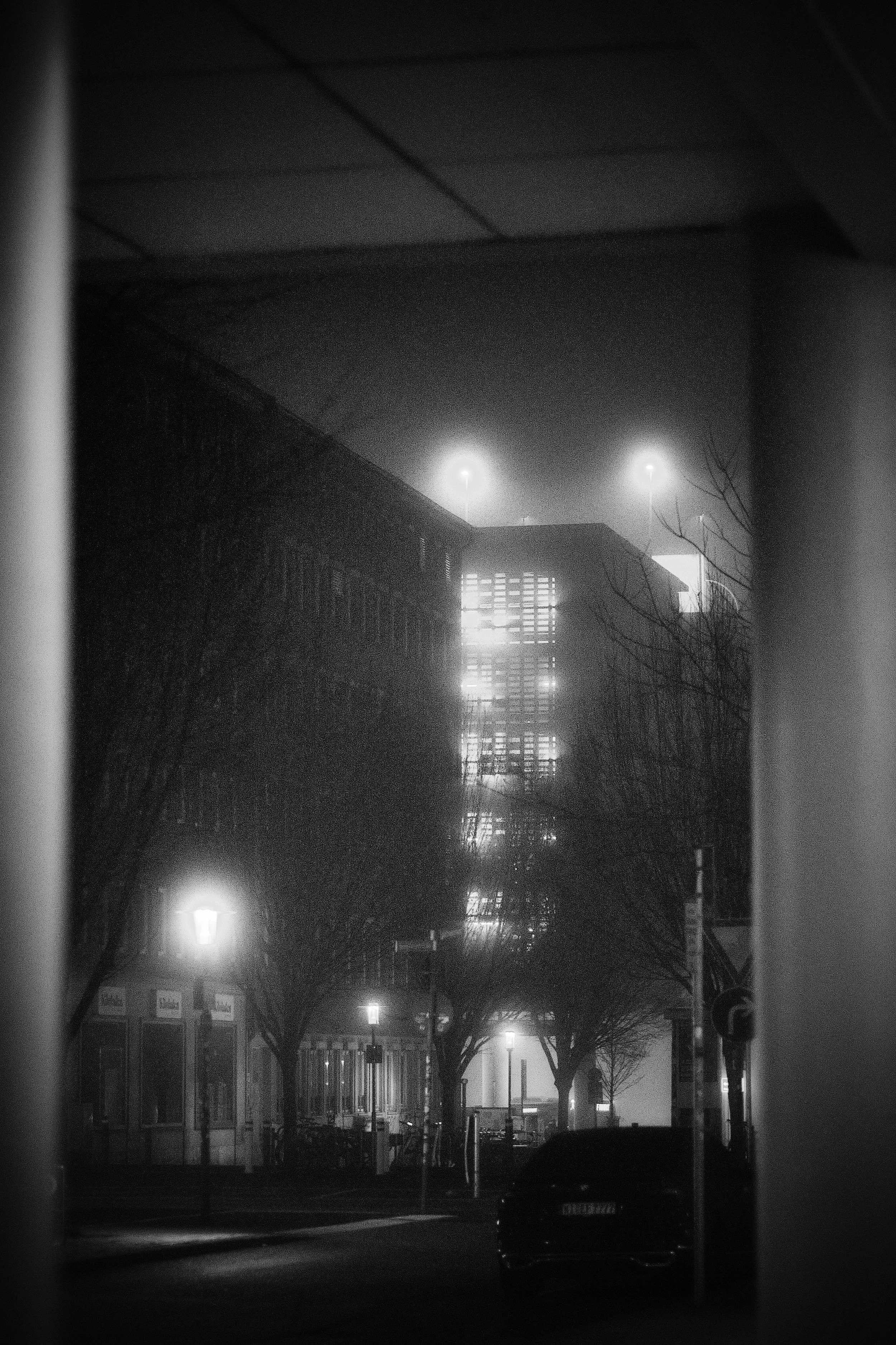 26.12.2025 Kiel 16.jpg