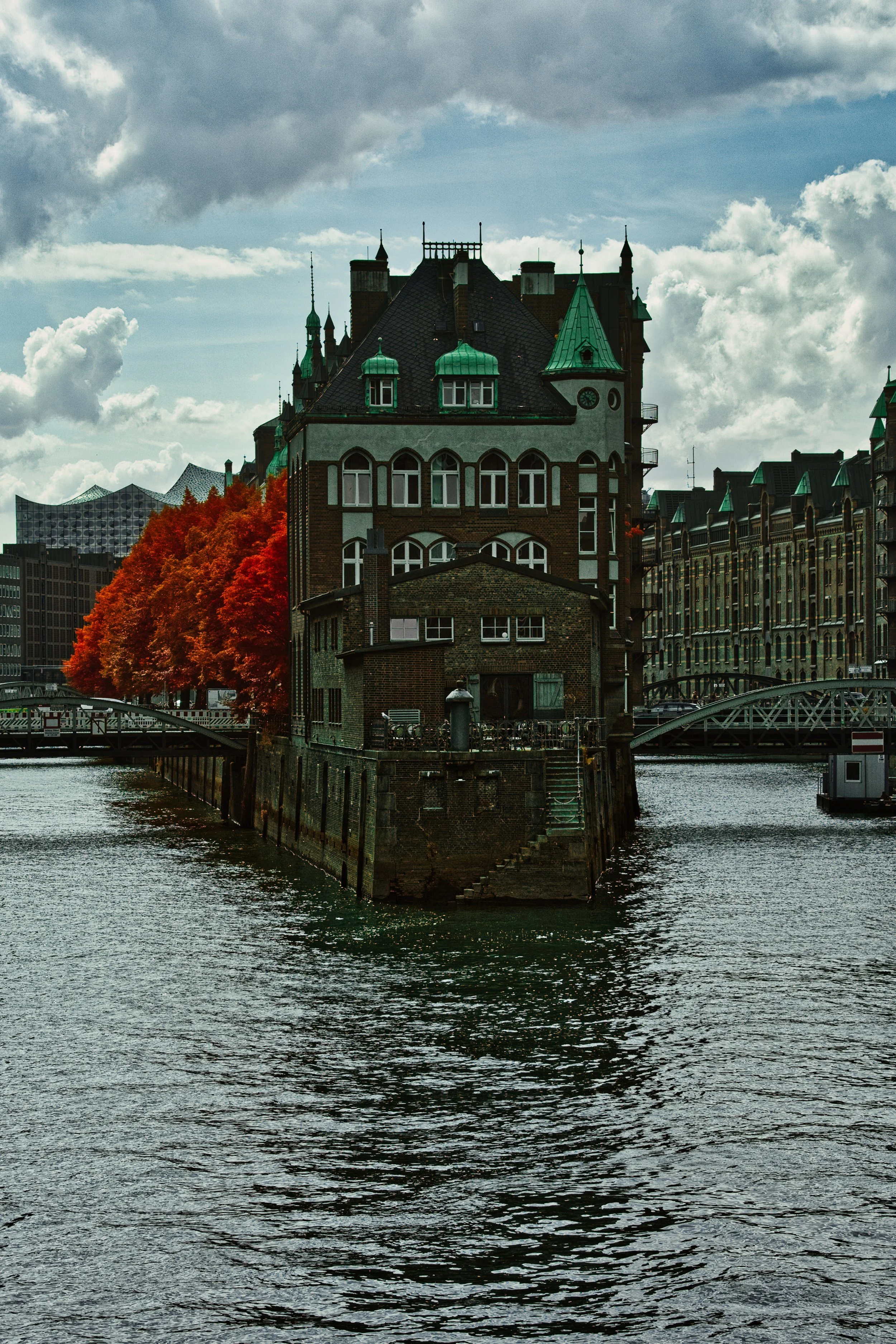 DSCF5452.jpg