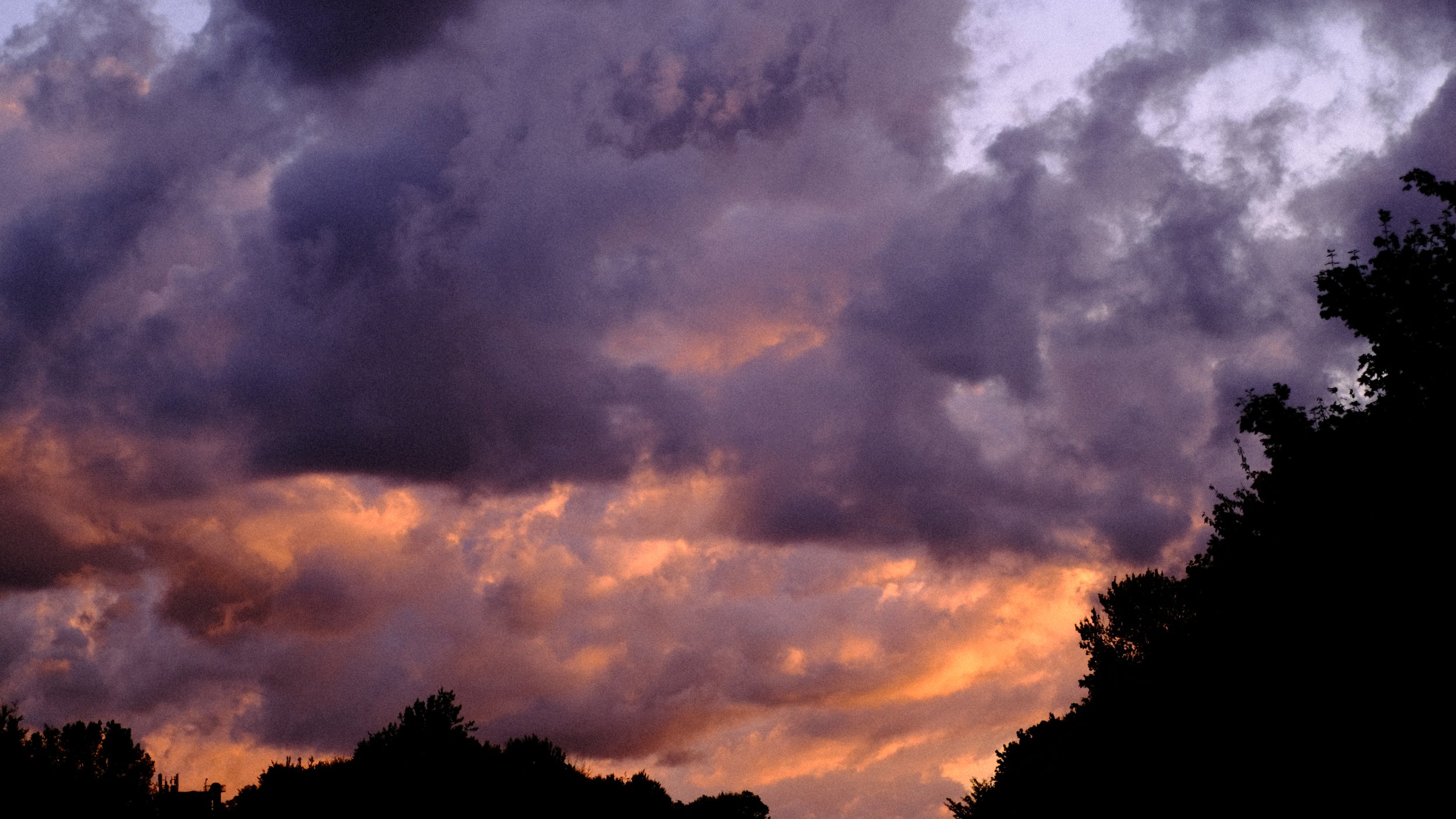 DSCF7004.JPG