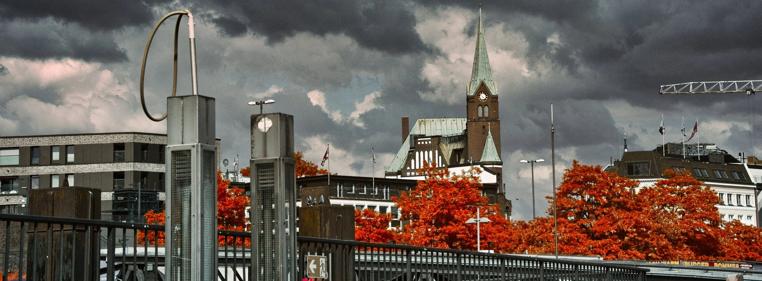 DSCF5528.jpg
