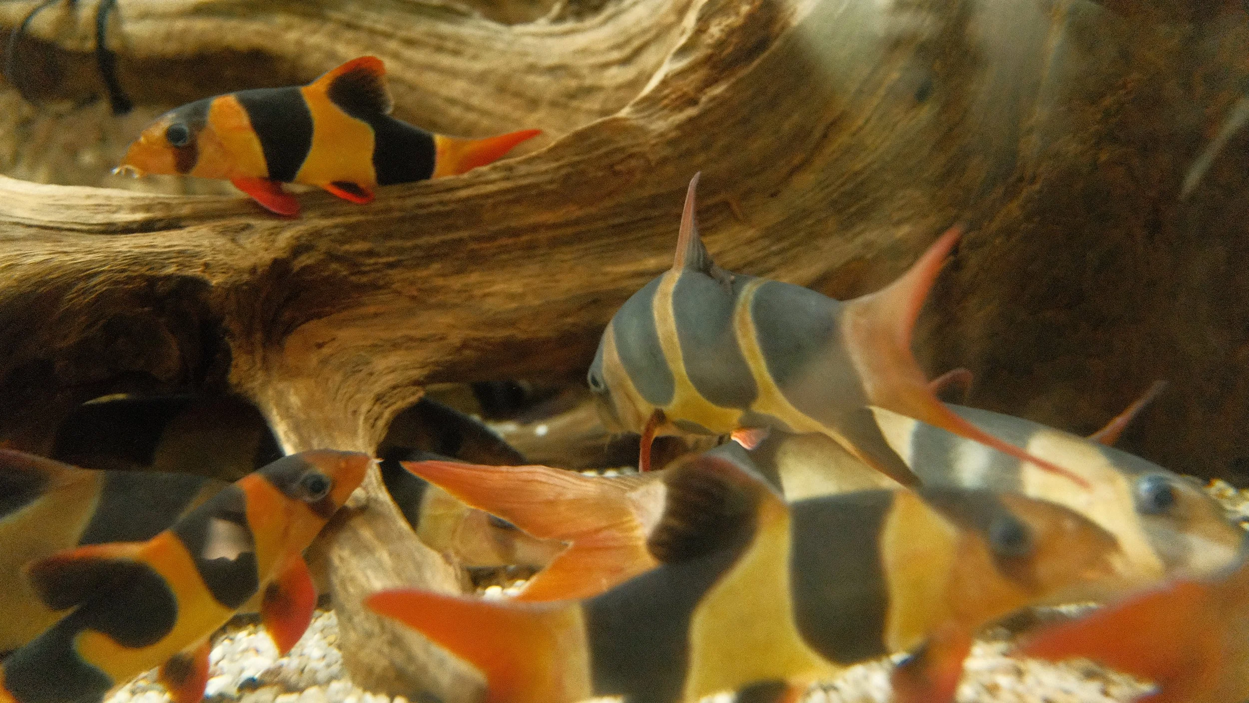 DSCF5850.JPG