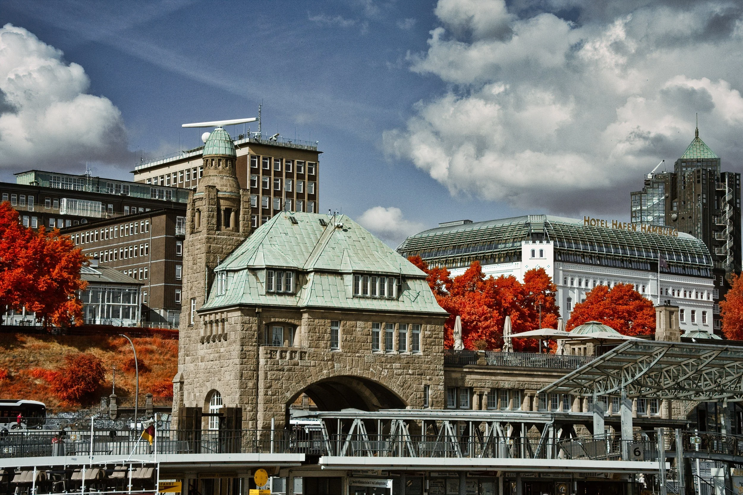 DSCF5533.jpg
