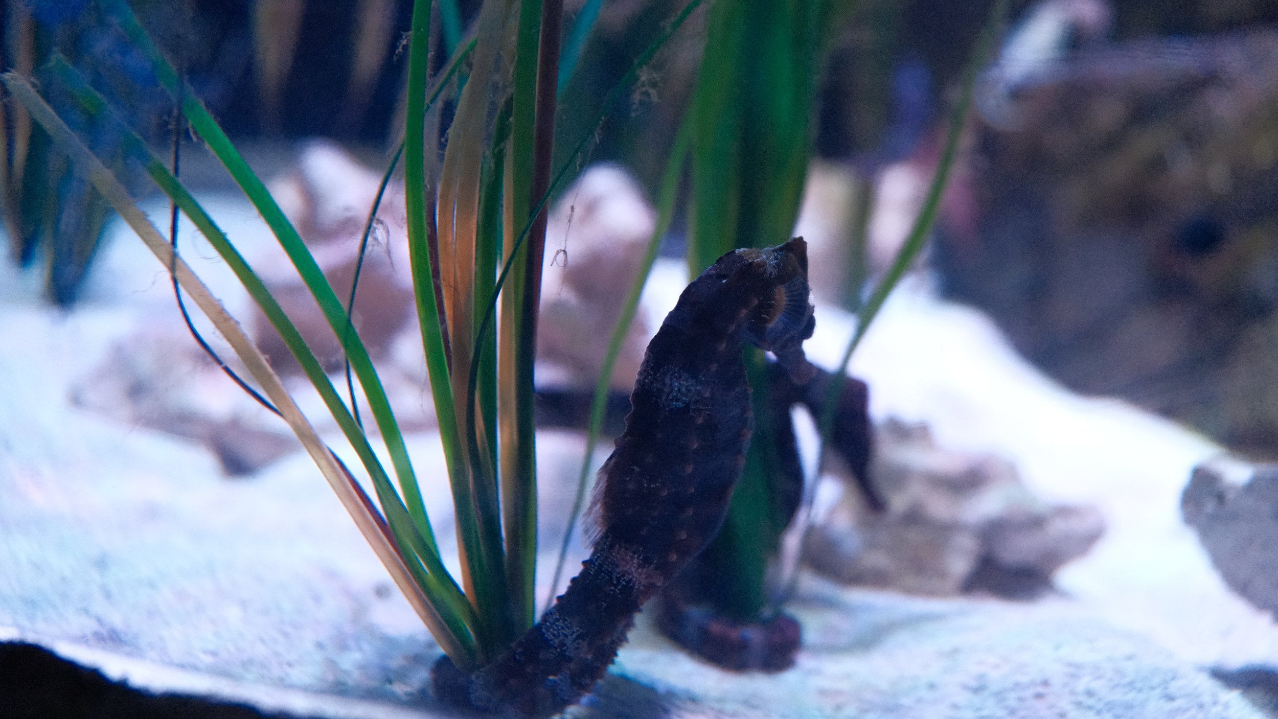 DSCF5913.JPG