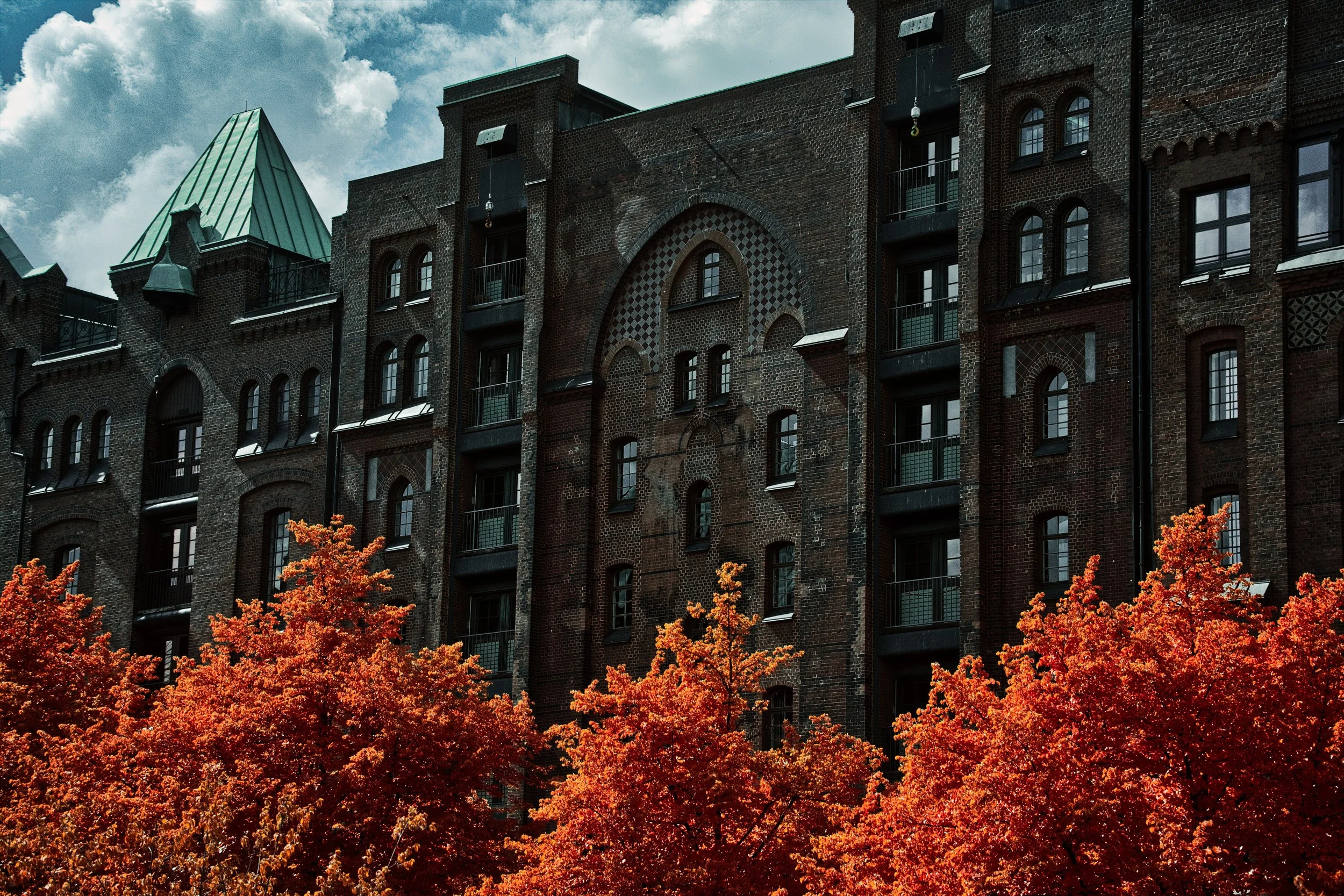 DSCF5490.jpg