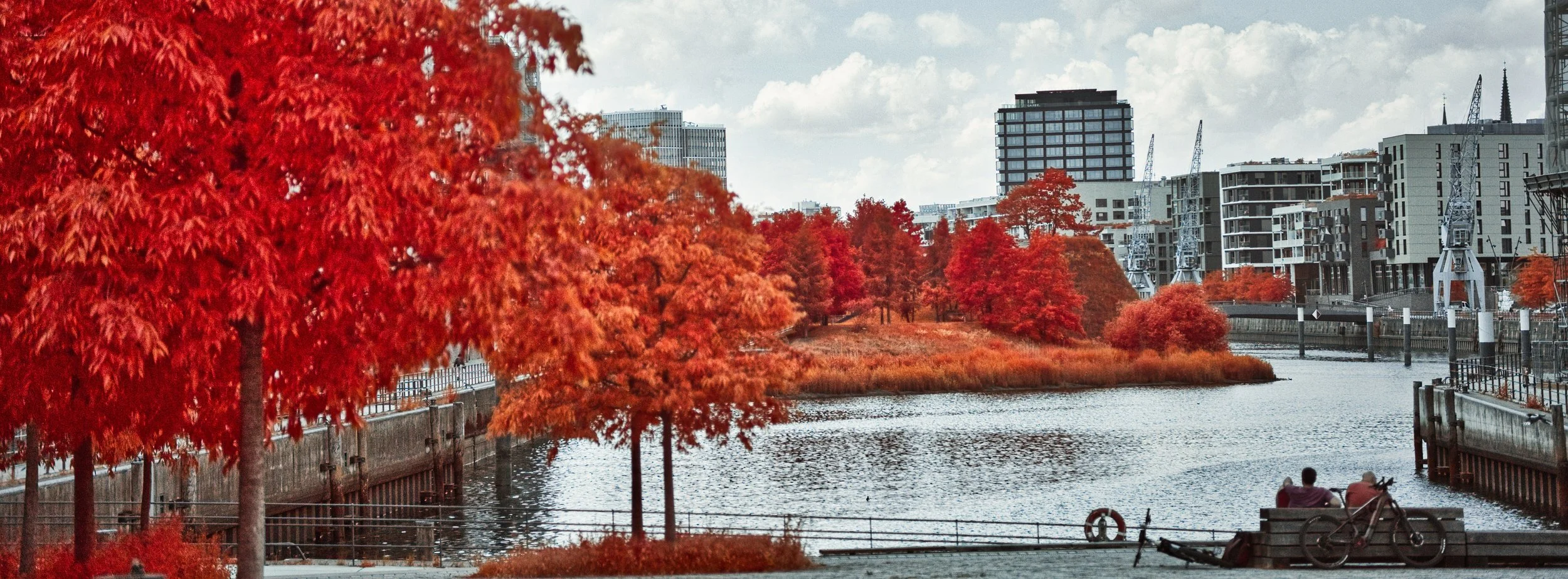 DSCF5435.jpg