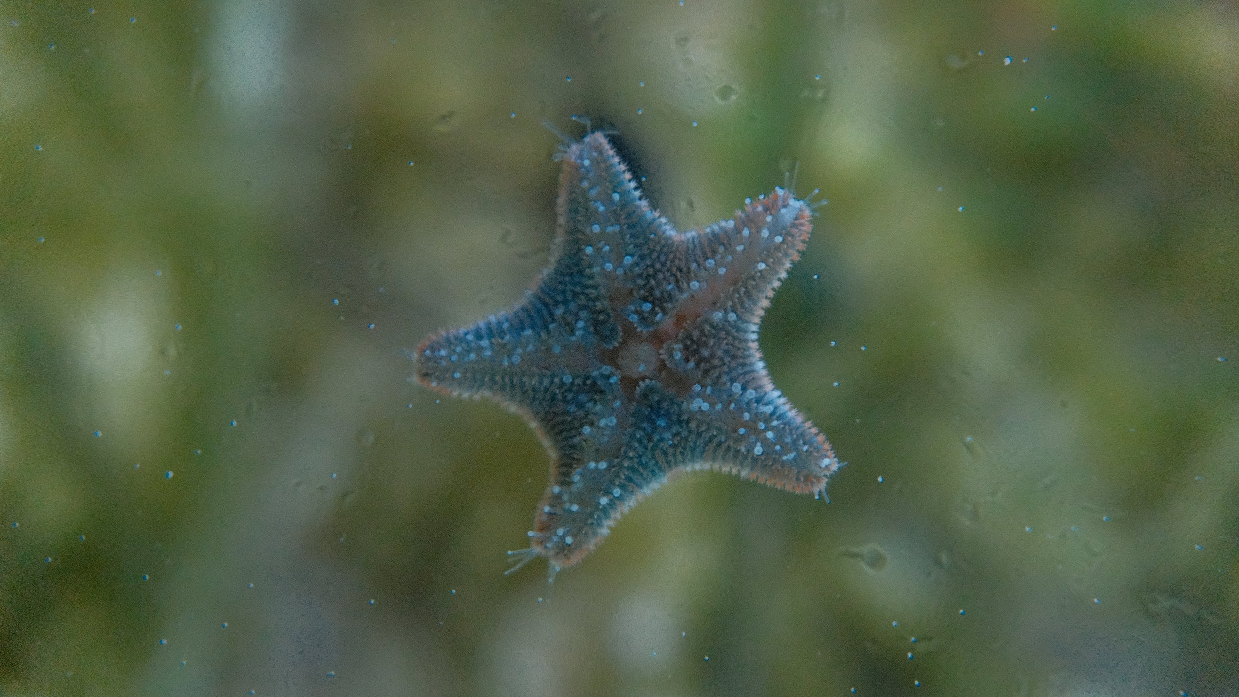 DSCF5903.JPG