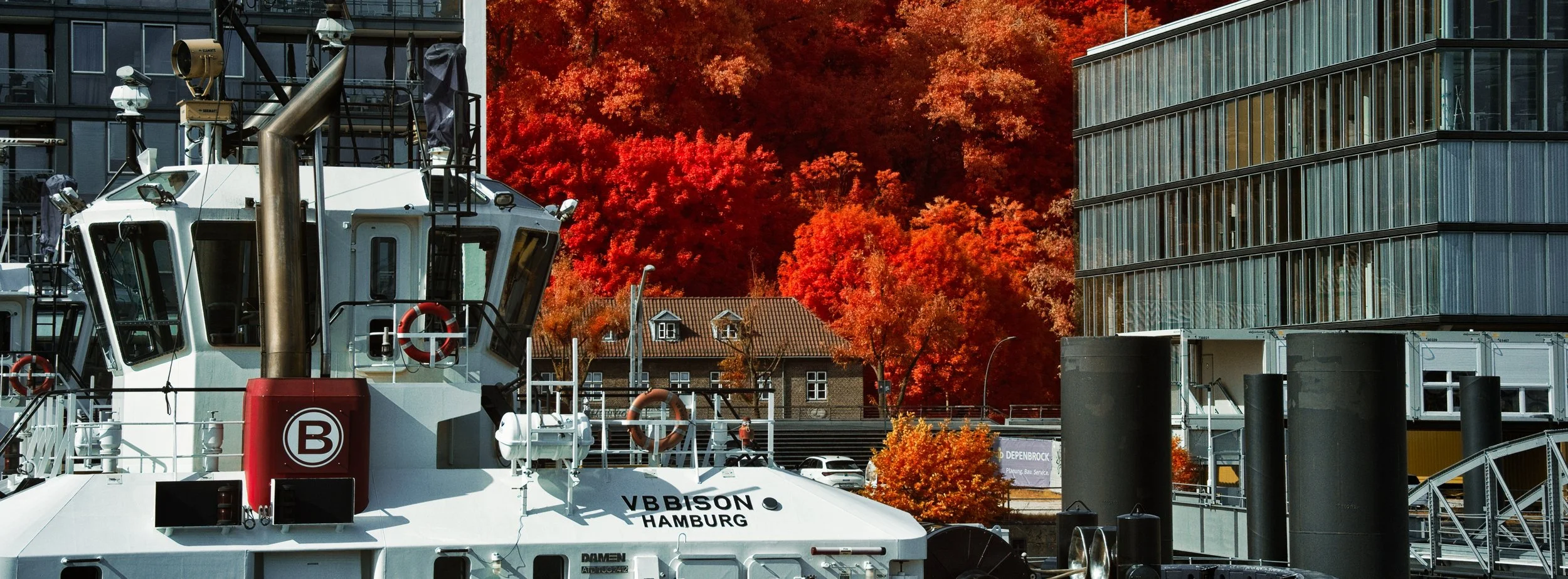 DSCF5543.jpg