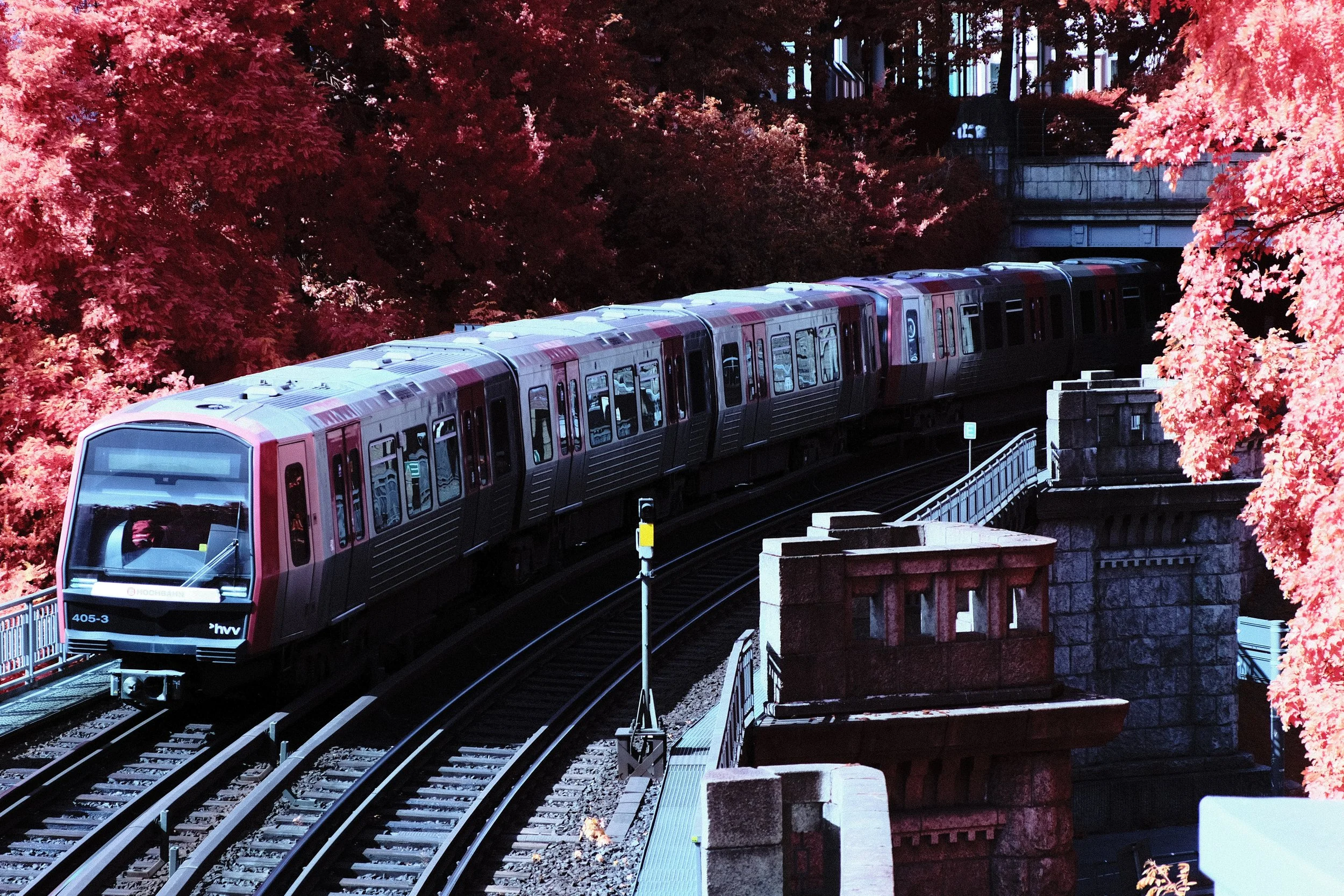 DSCF4769.JPG
