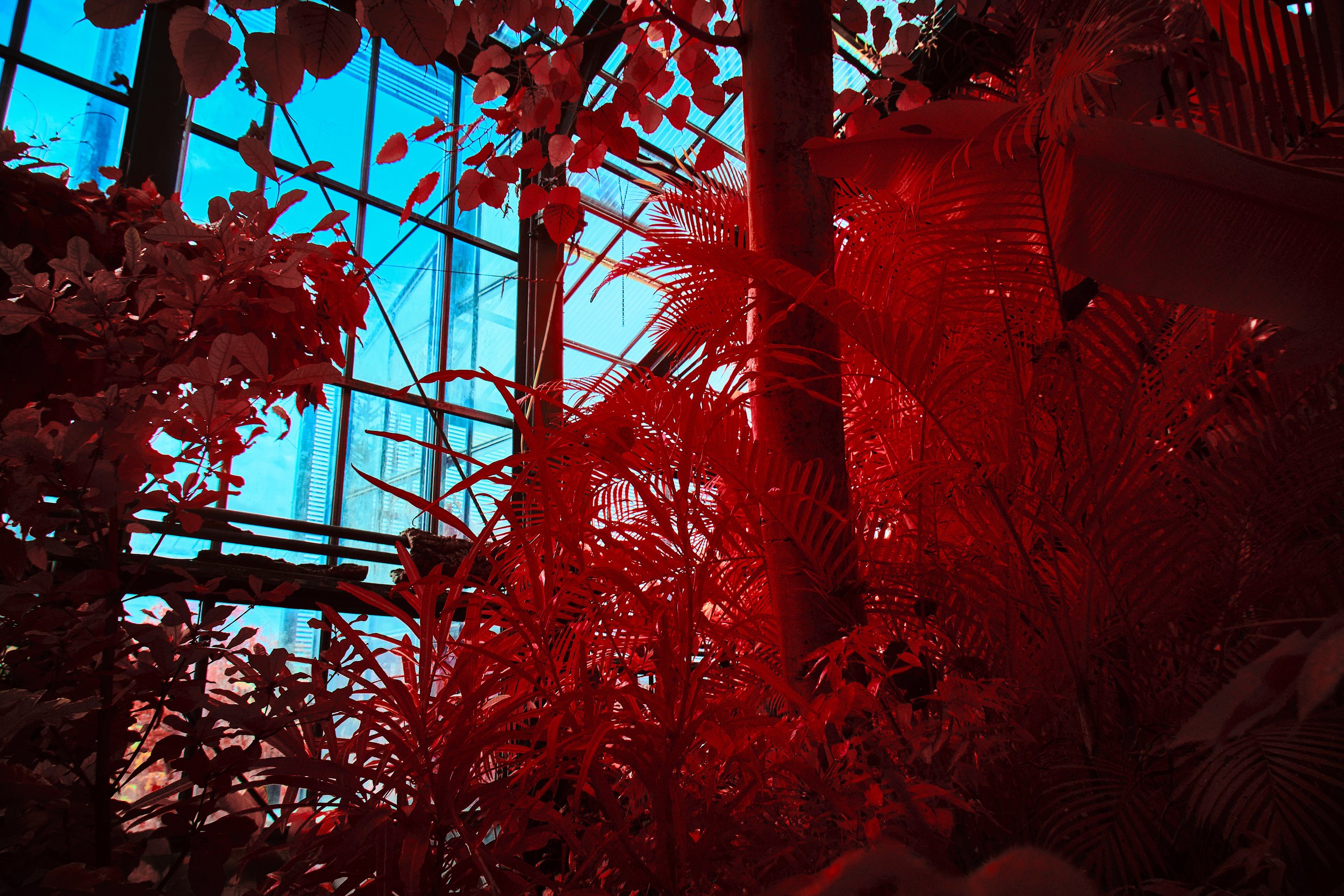 17.08.2026 Botanischer Garten 135.jpg
