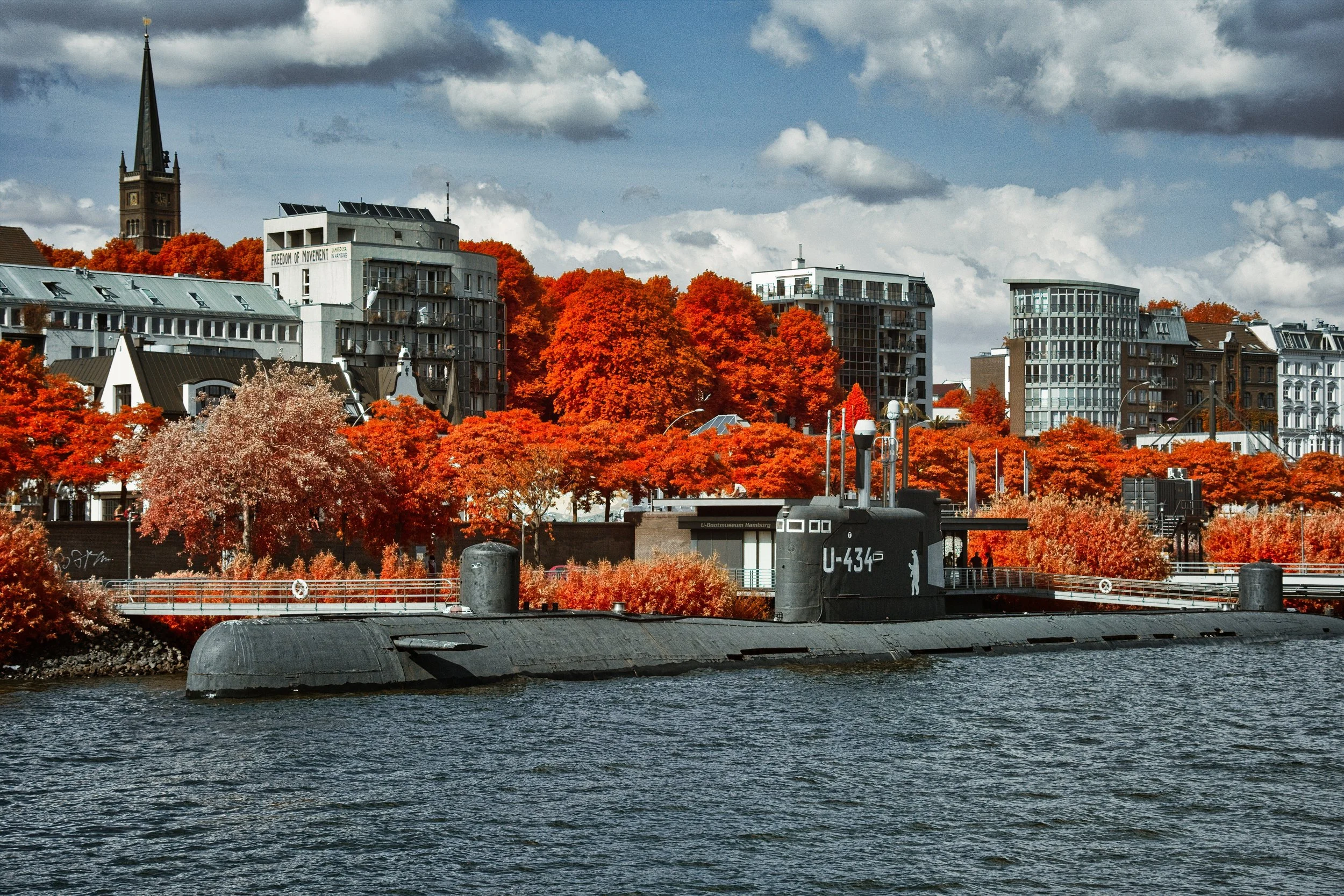 DSCF5542.jpg