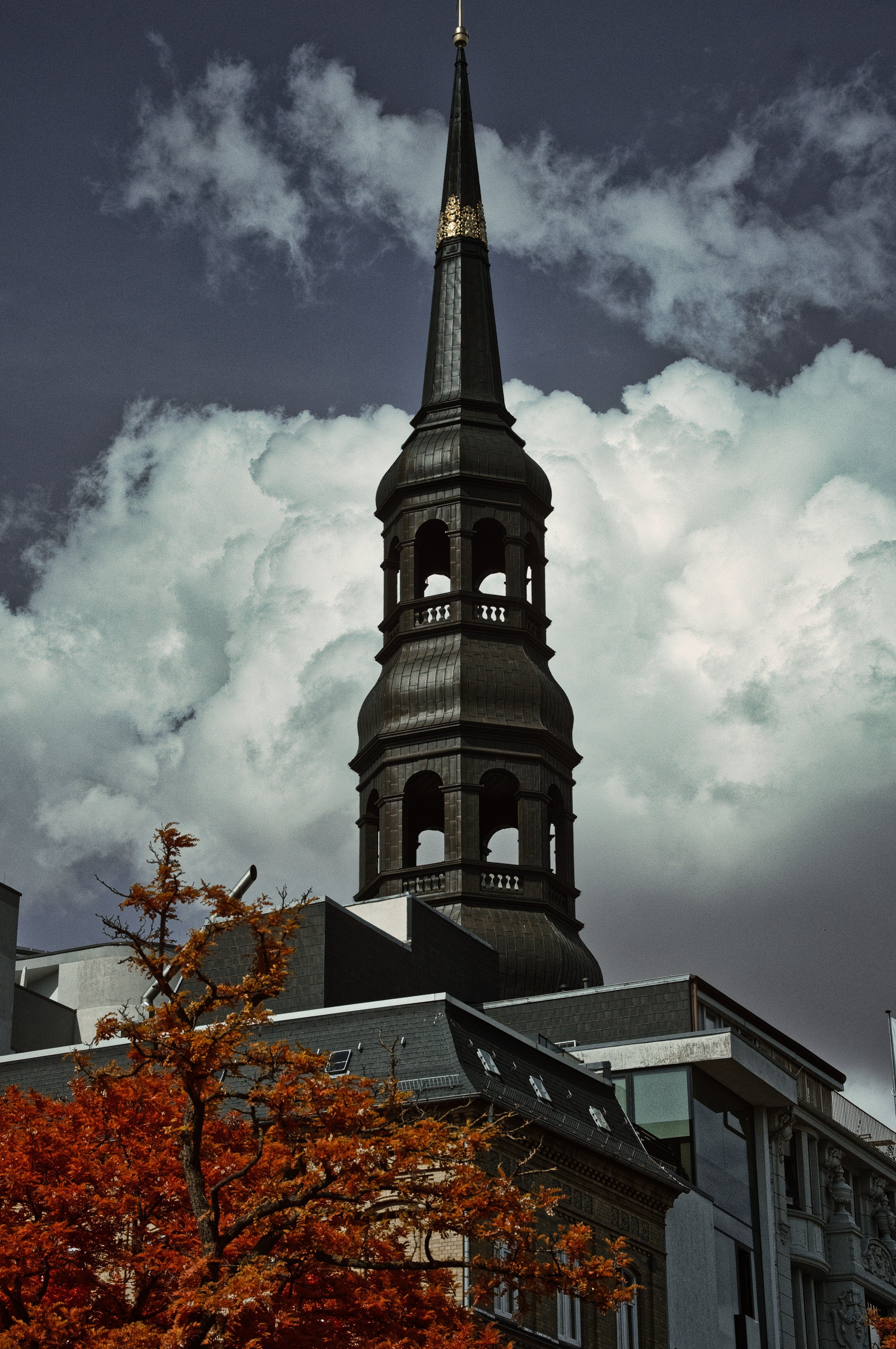 DSCF5506.jpg