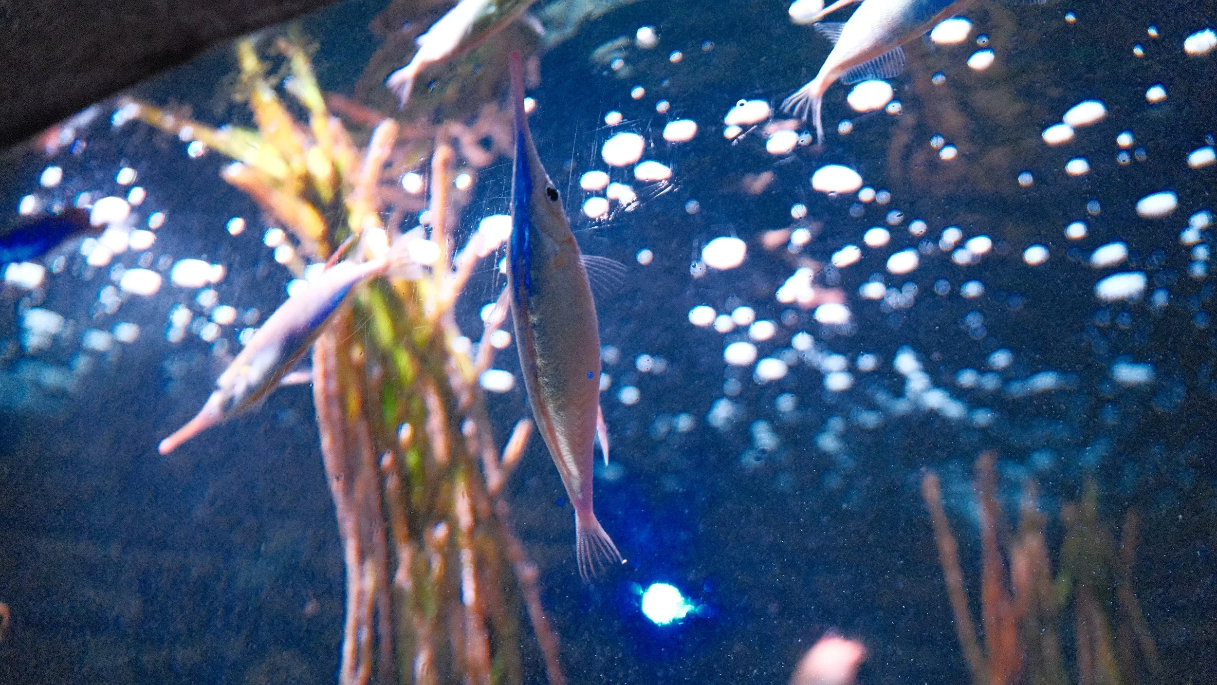DSCF5937.JPG