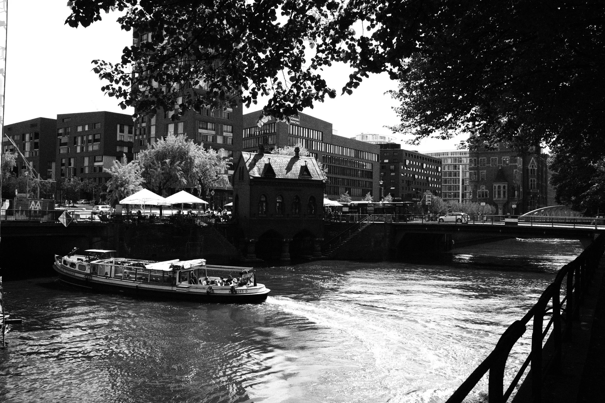 DSCF4822.jpg