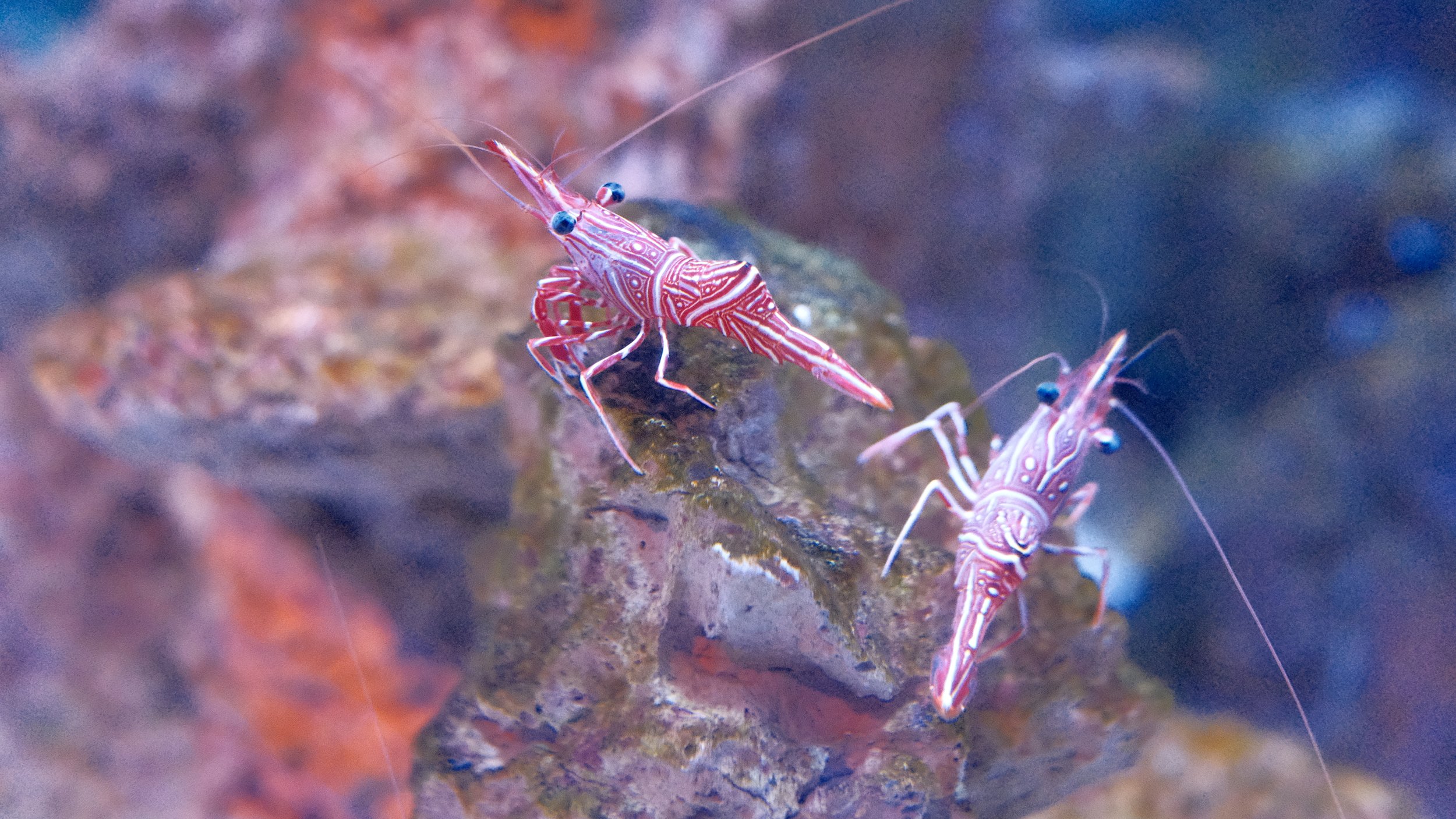 DSCF5907.JPG
