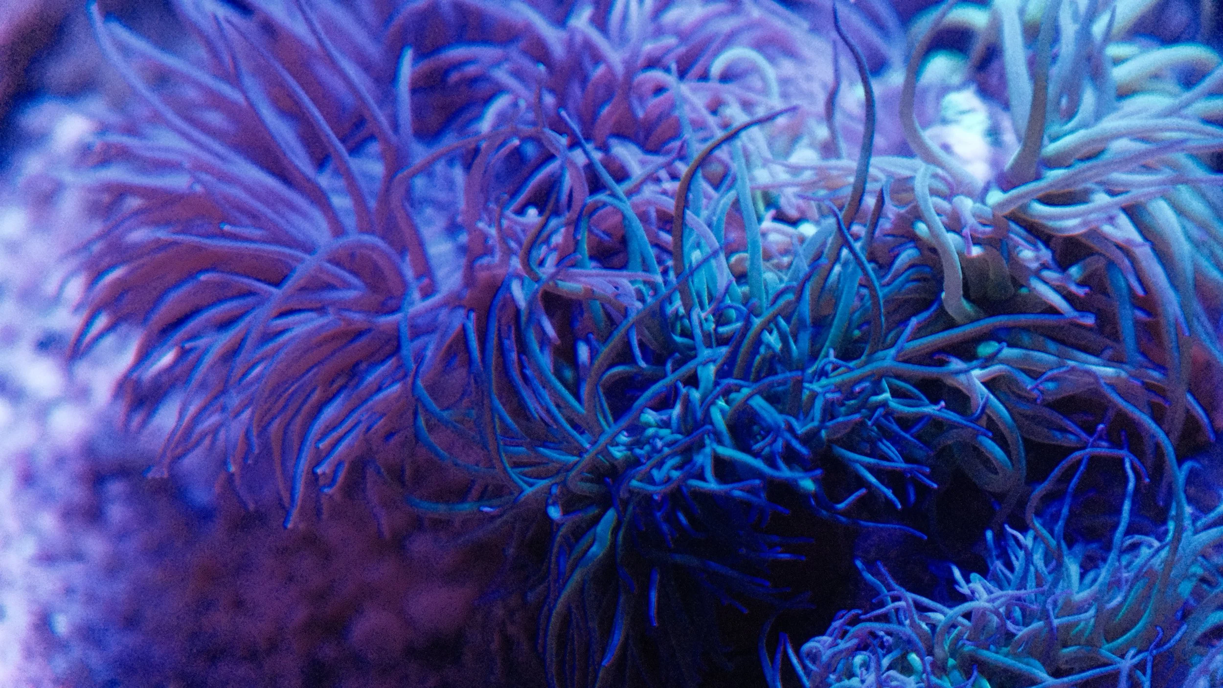 DSCF5887.JPG