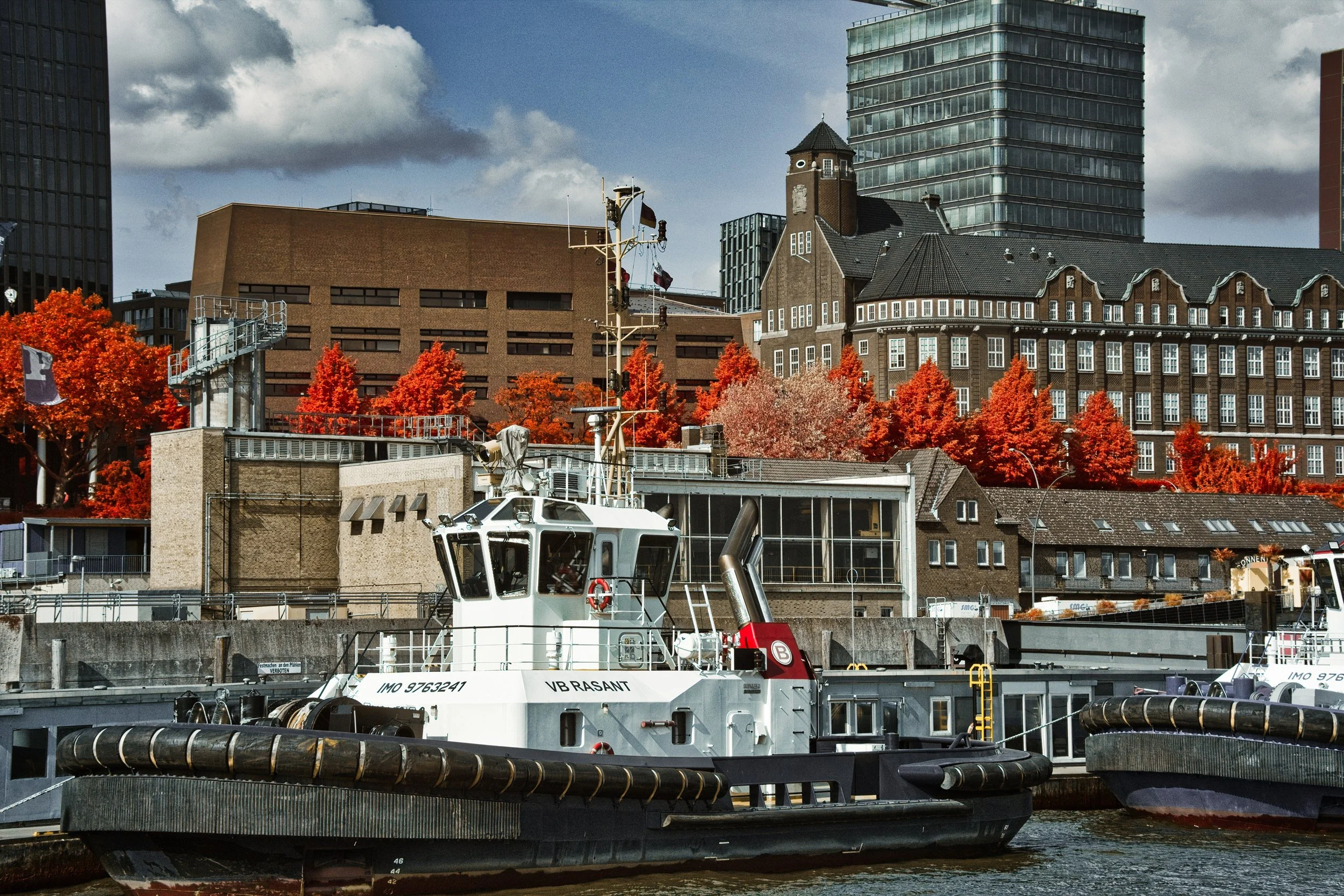 DSCF5536.jpg