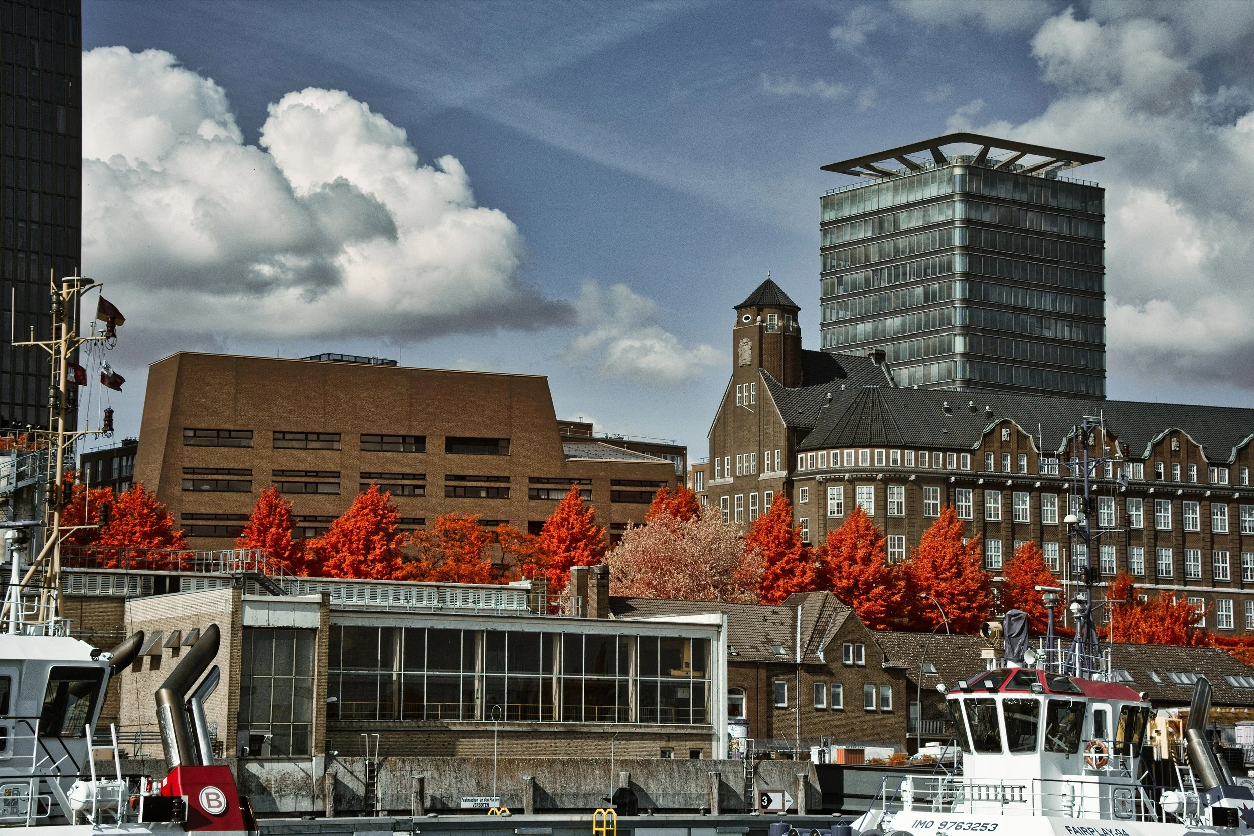 DSCF5535.jpg