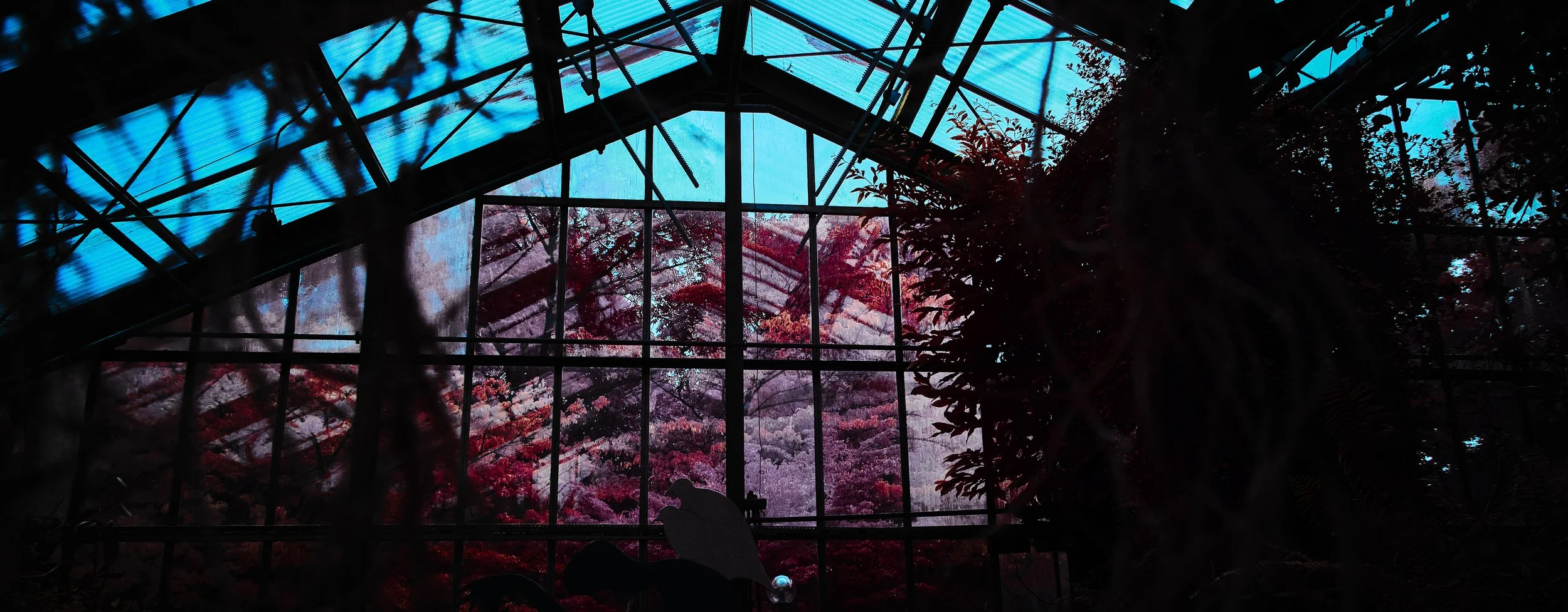 17.08.2026 Botanischer Garten 131.jpg