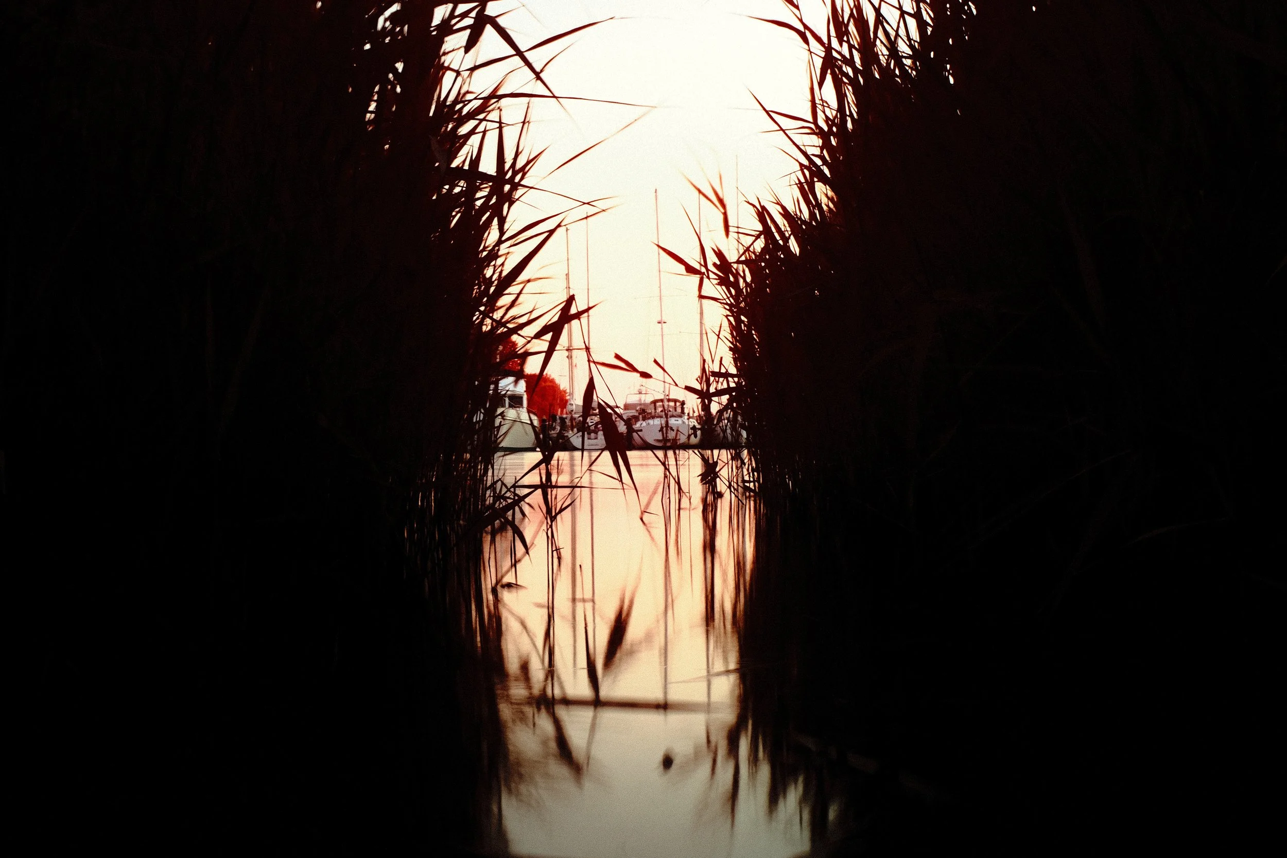 DSCF4452.JPG