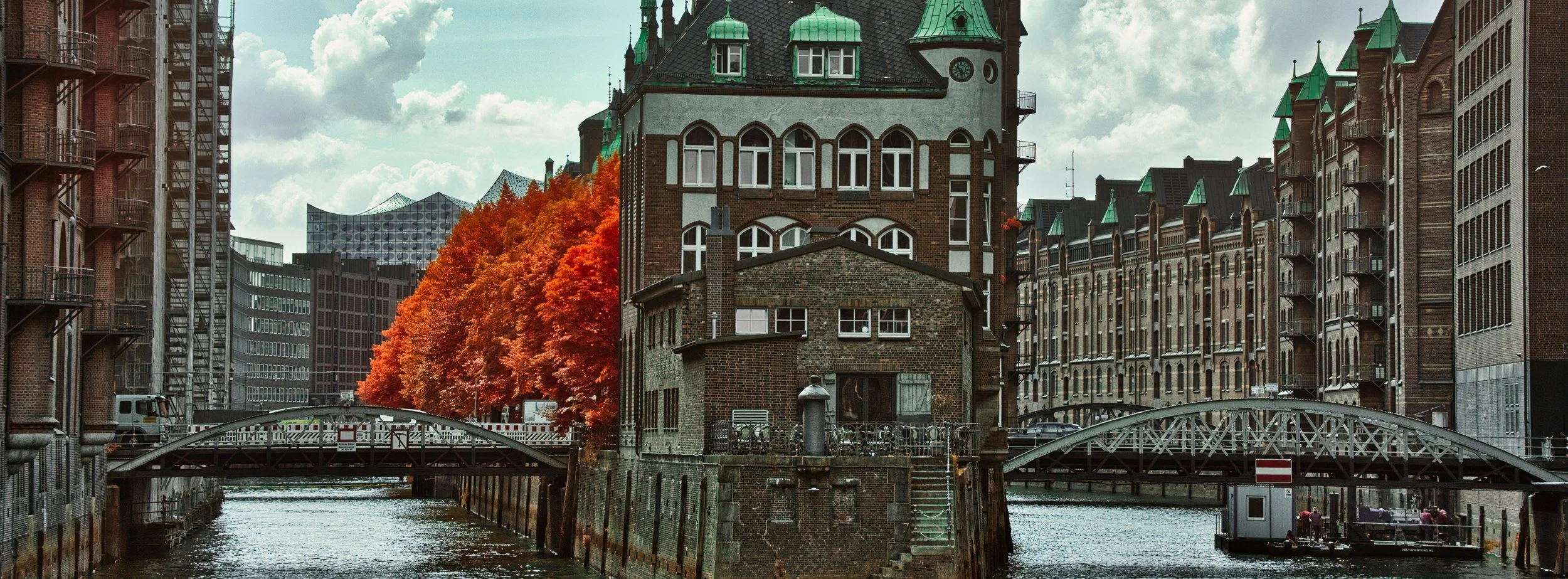 DSCF5455.jpg