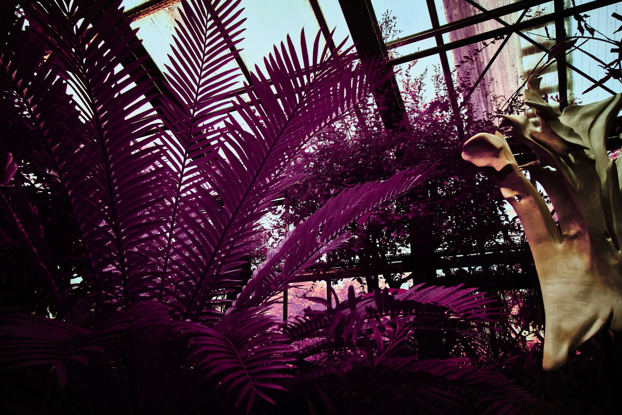 17.08.2026 Botanischer Garten 74.jpg