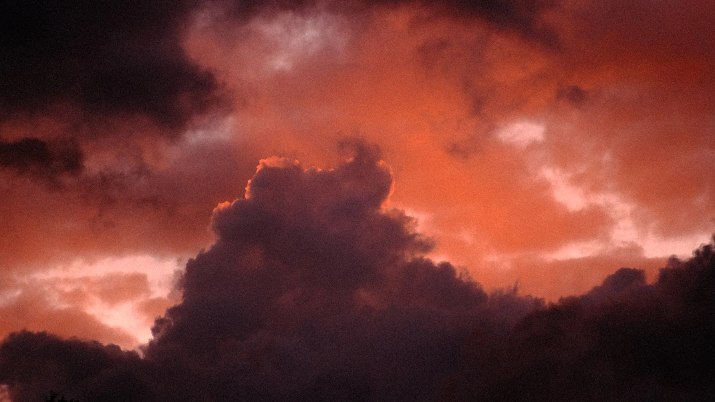 DSCF7012.JPG