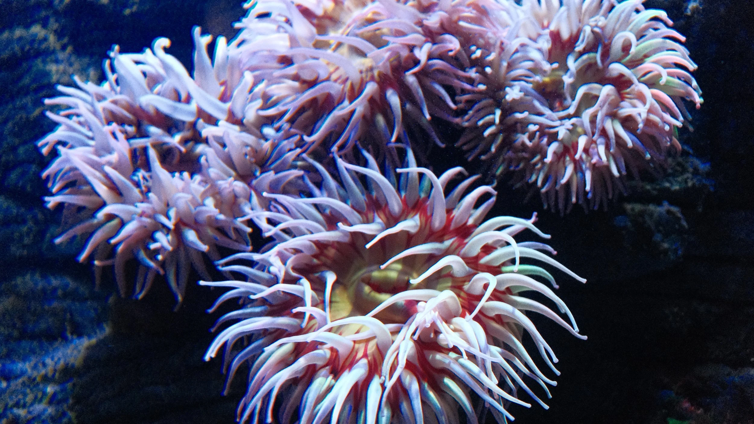 DSCF5883.JPG