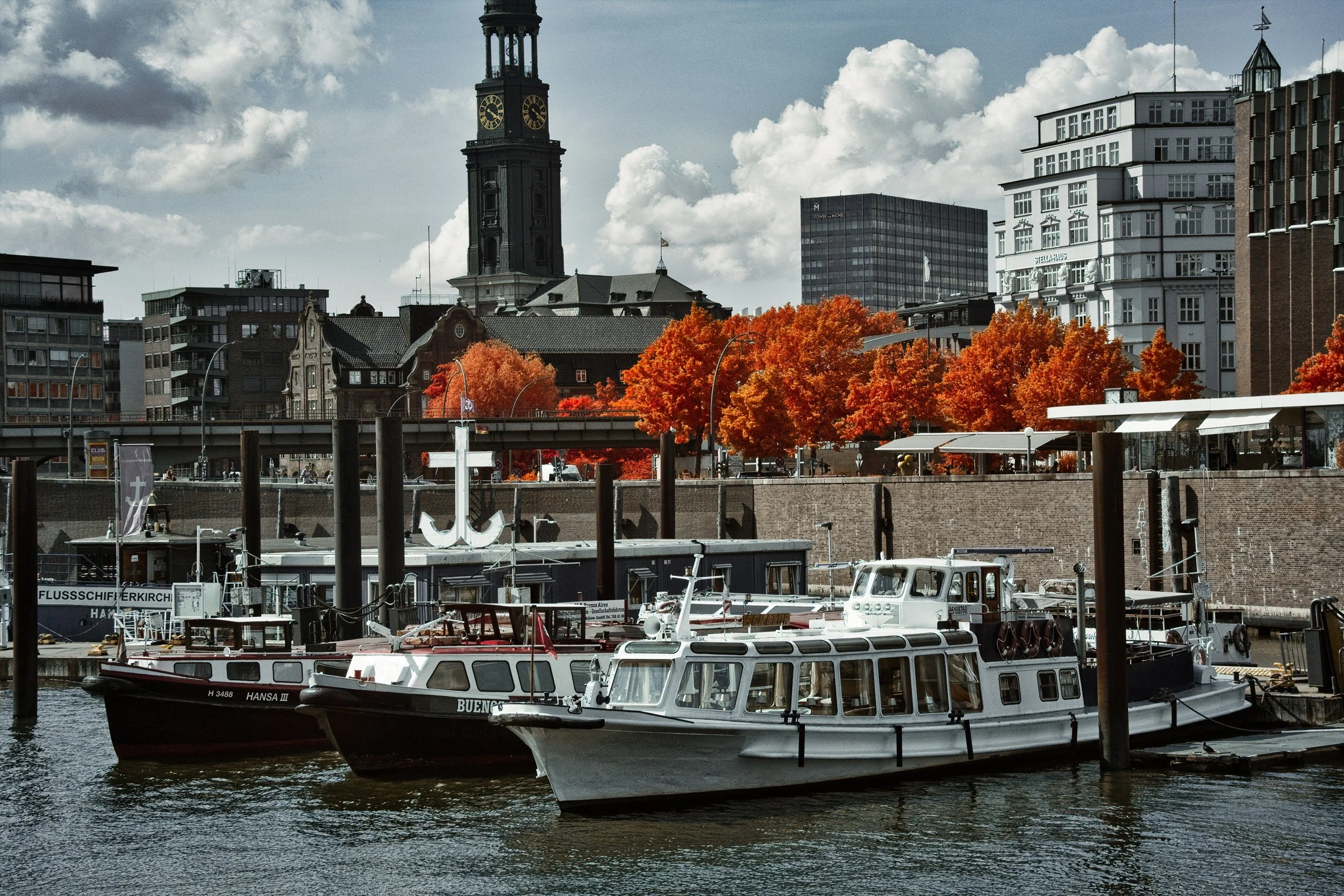 DSCF5513.jpg
