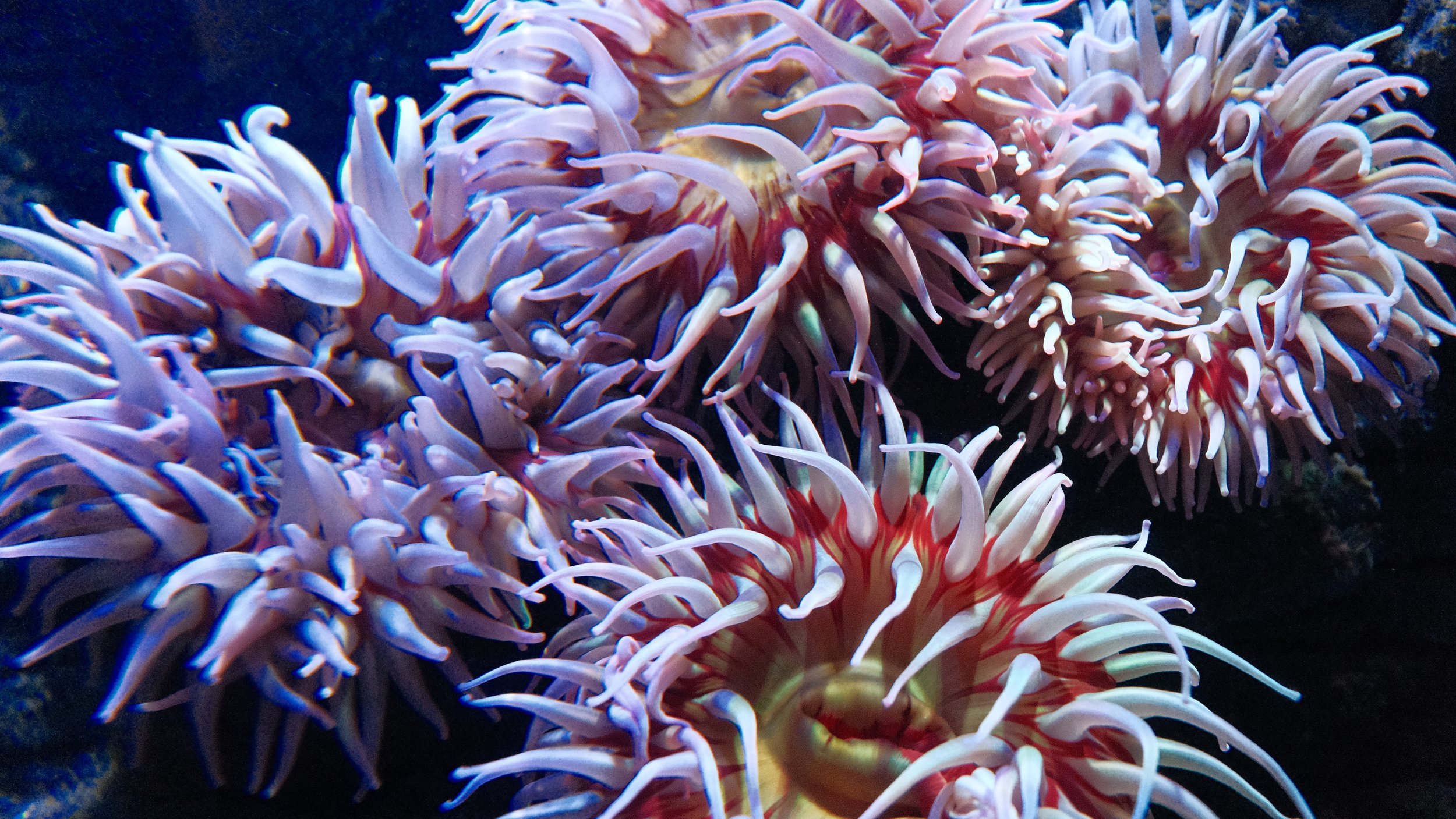 DSCF5882.JPG