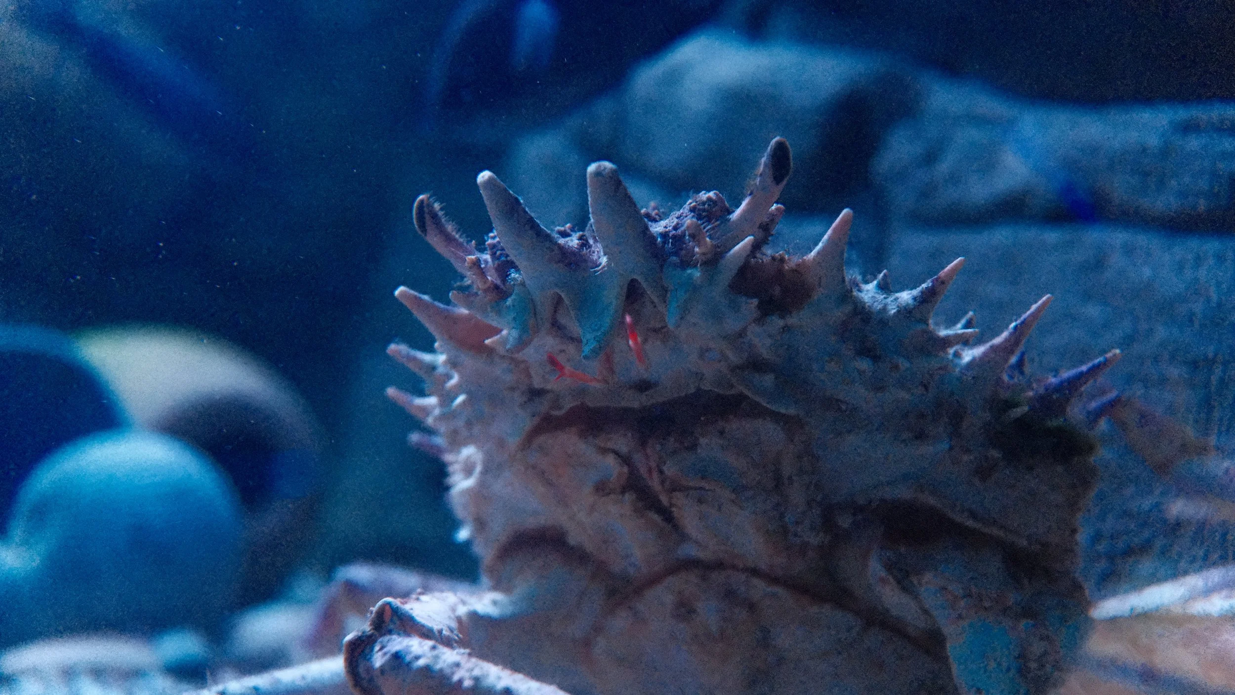 DSCF5948.JPG