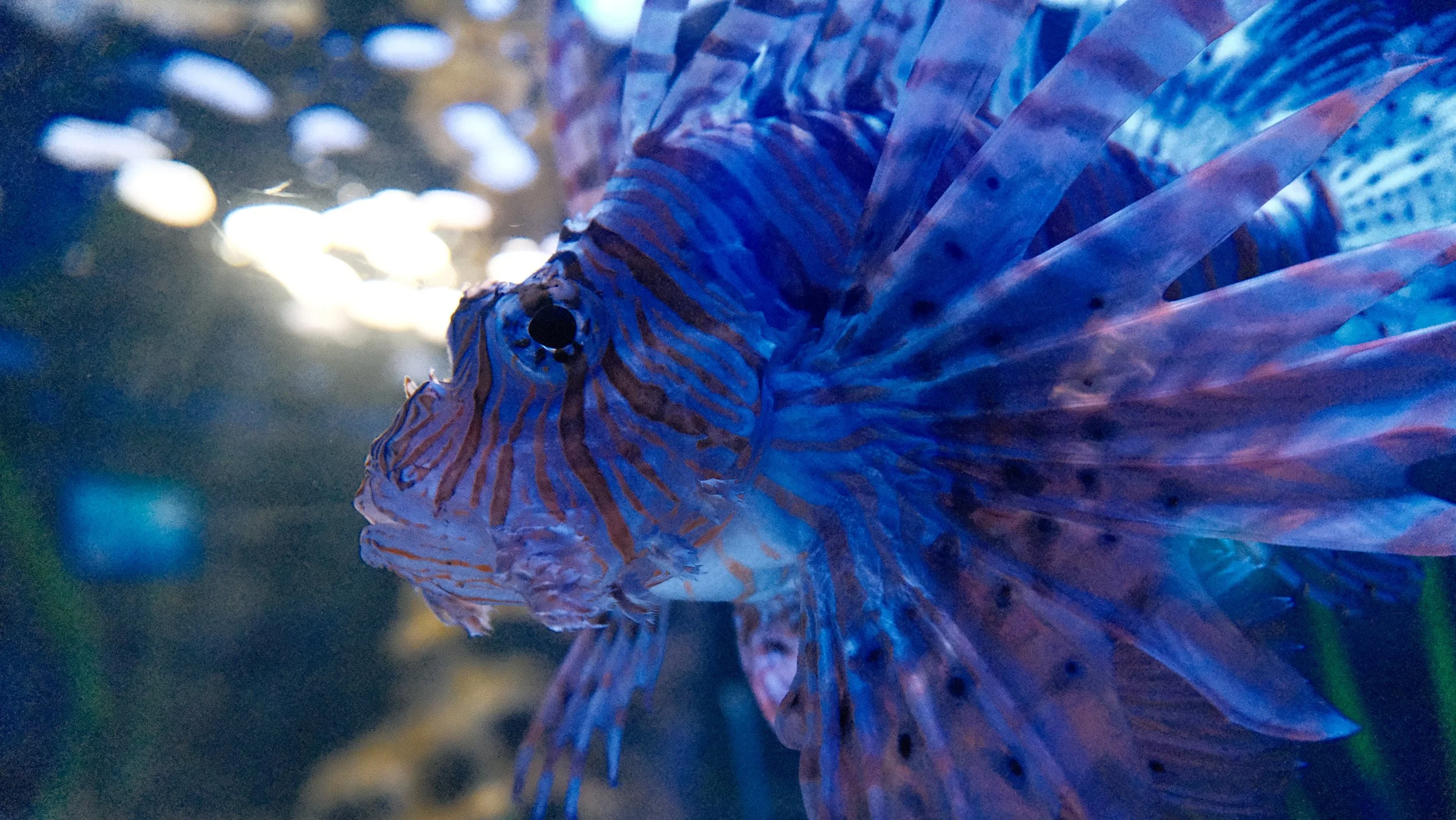 DSCF5963.JPG