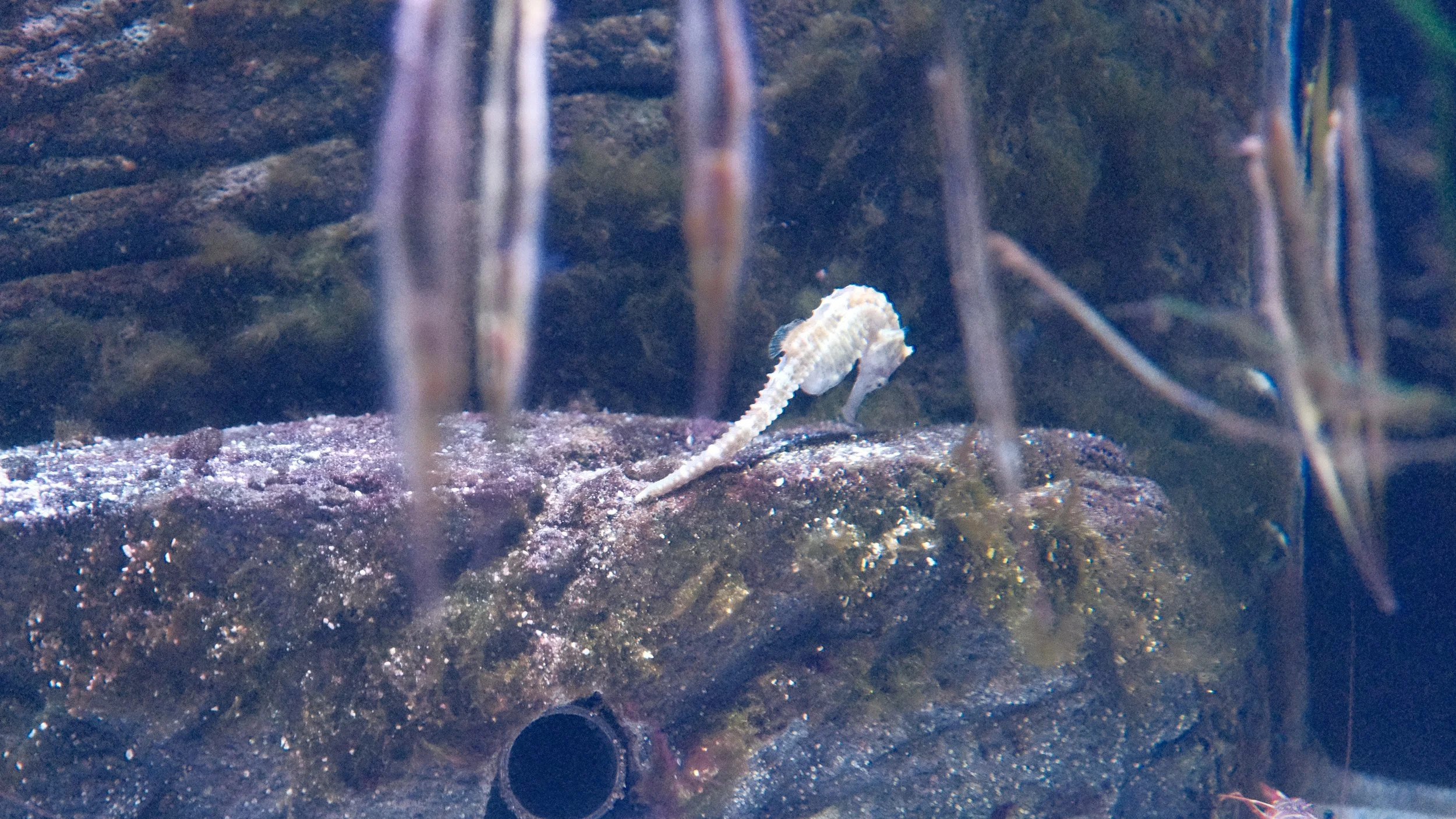 DSCF5921.JPG