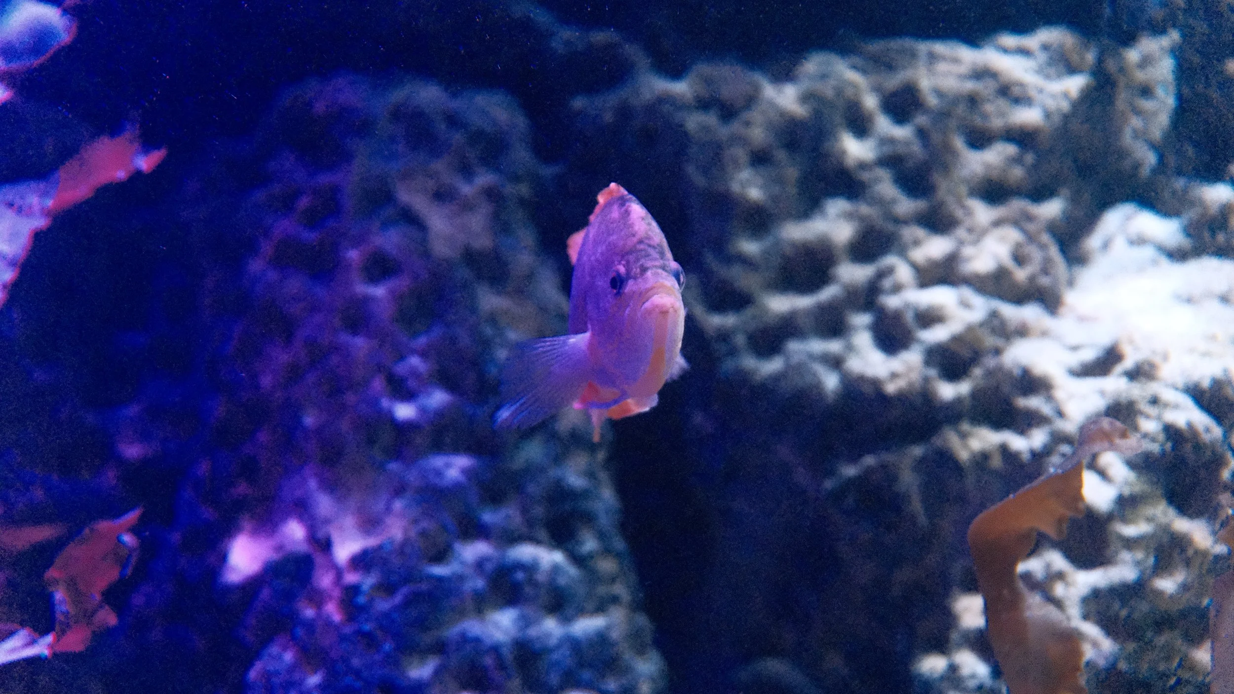 DSCF5893.JPG