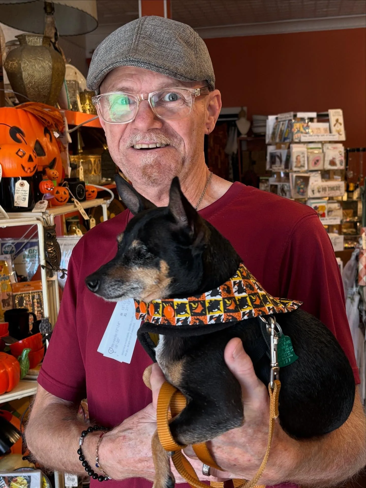 Remy stopped by with her dad to model one of our @dusidog Halloween bandanas in the small size! How adorable and seasonally-ready is this darling min pin? #minipinchersofinstagram