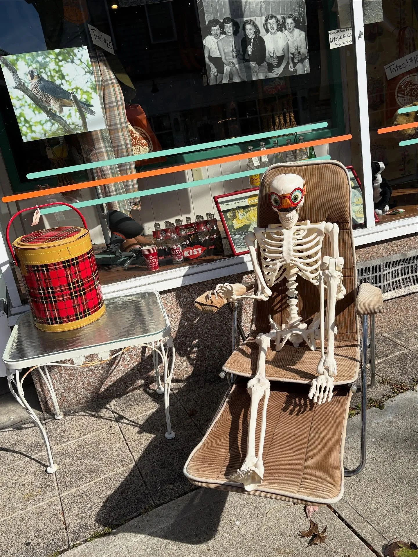 Mr Bones hanging out in-cognito in one of our $2 #1950shalloween masks enjoying this October sun!  Open 11-5 today!