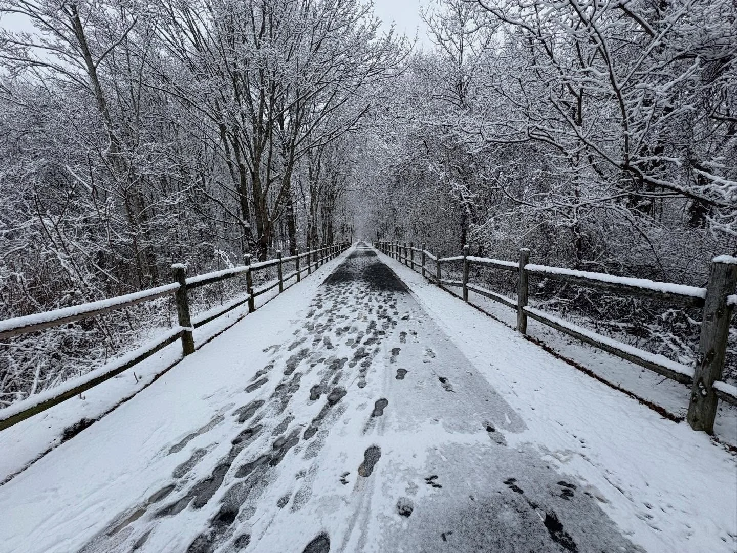 After yesterday's horror and sadness, we all needed to awake to something new and beautiful. News of a suspect in police custody brings some solace though nothing can comfort those who have lost loved ones.  The snow, however, is beautiful and calmin