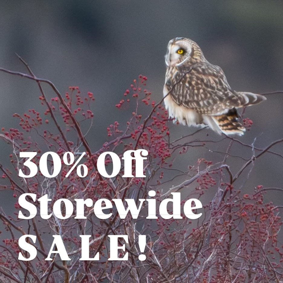 This coming weekend; January 2-4 we will have a STOREWIDE sale!  We still have our Christmas items out; our Halloween and all jewelry.  This will be the ONLY time these items will be discounted in the shop. If you've had your eye on something but the